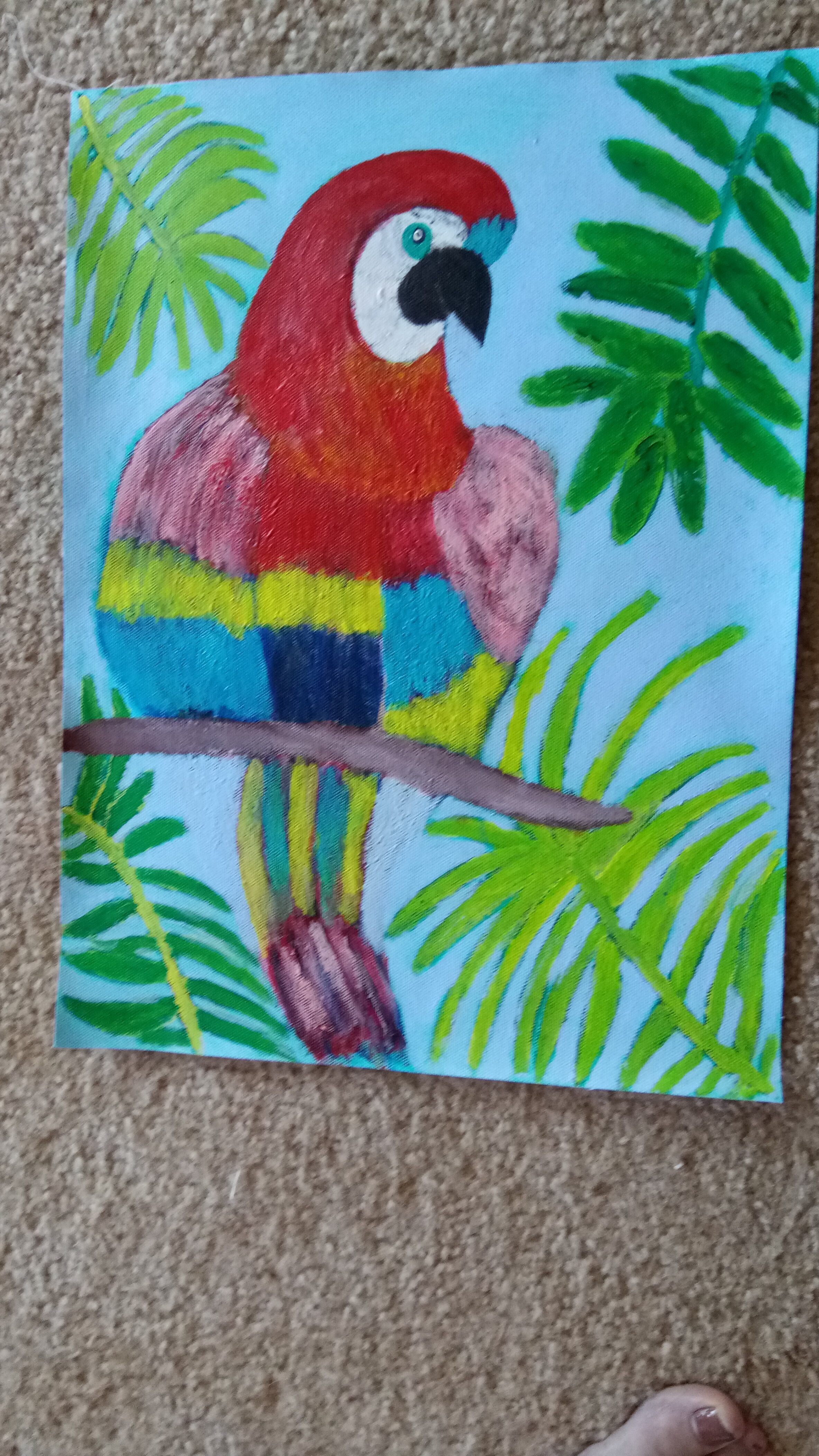 Rainbow Macaw
