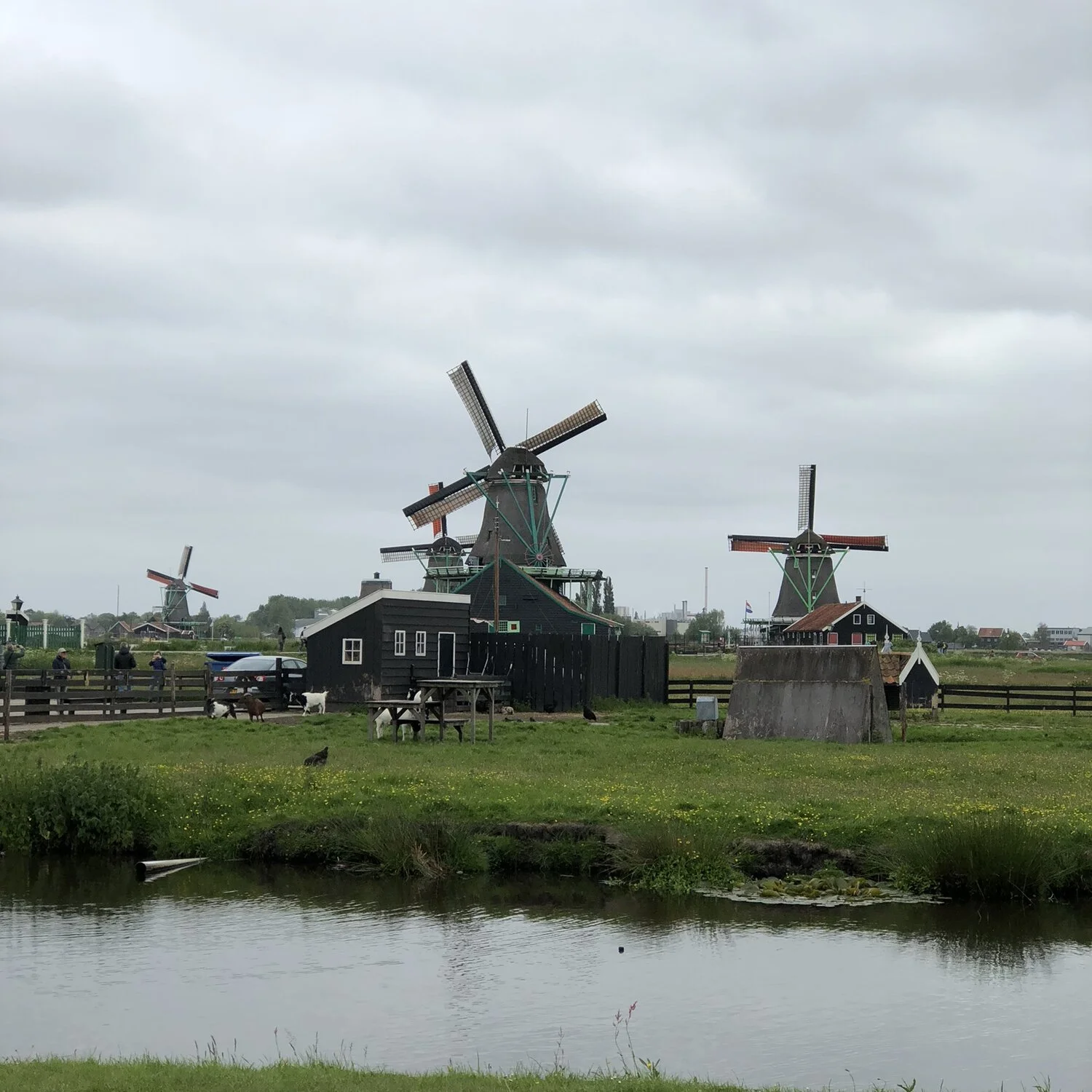 IMG_0582.jpg