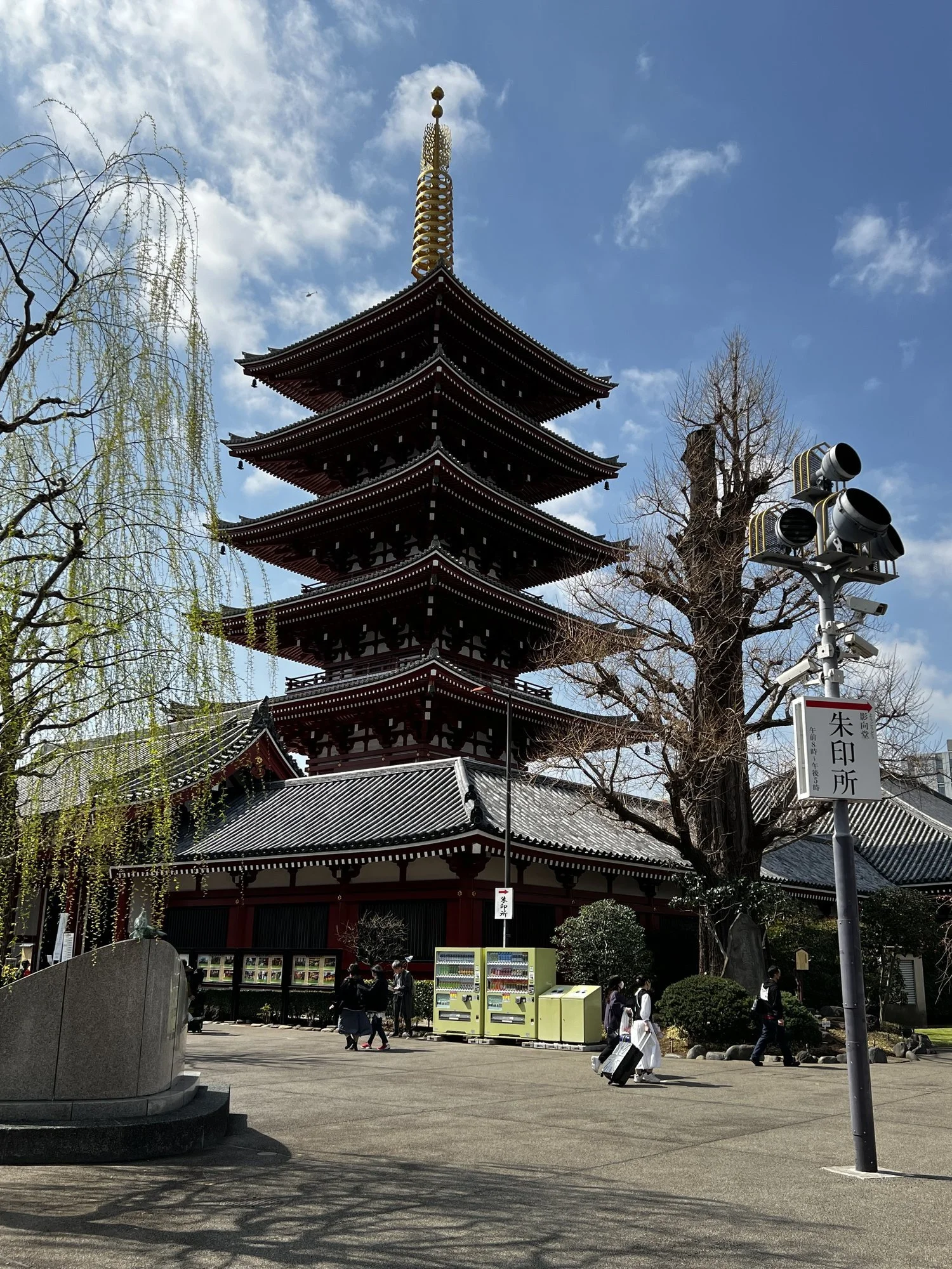 IMG_7671.jpg
