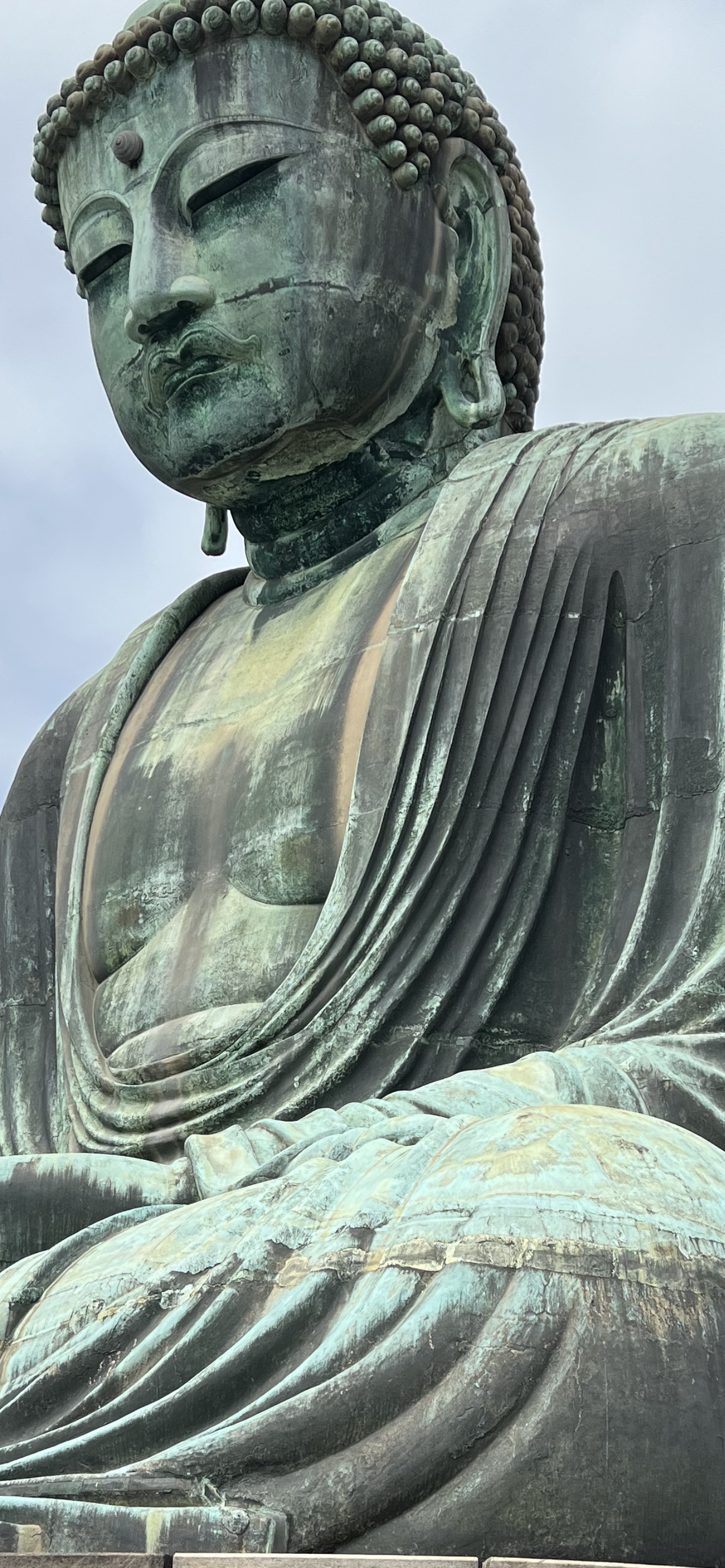 IMG_7832.png