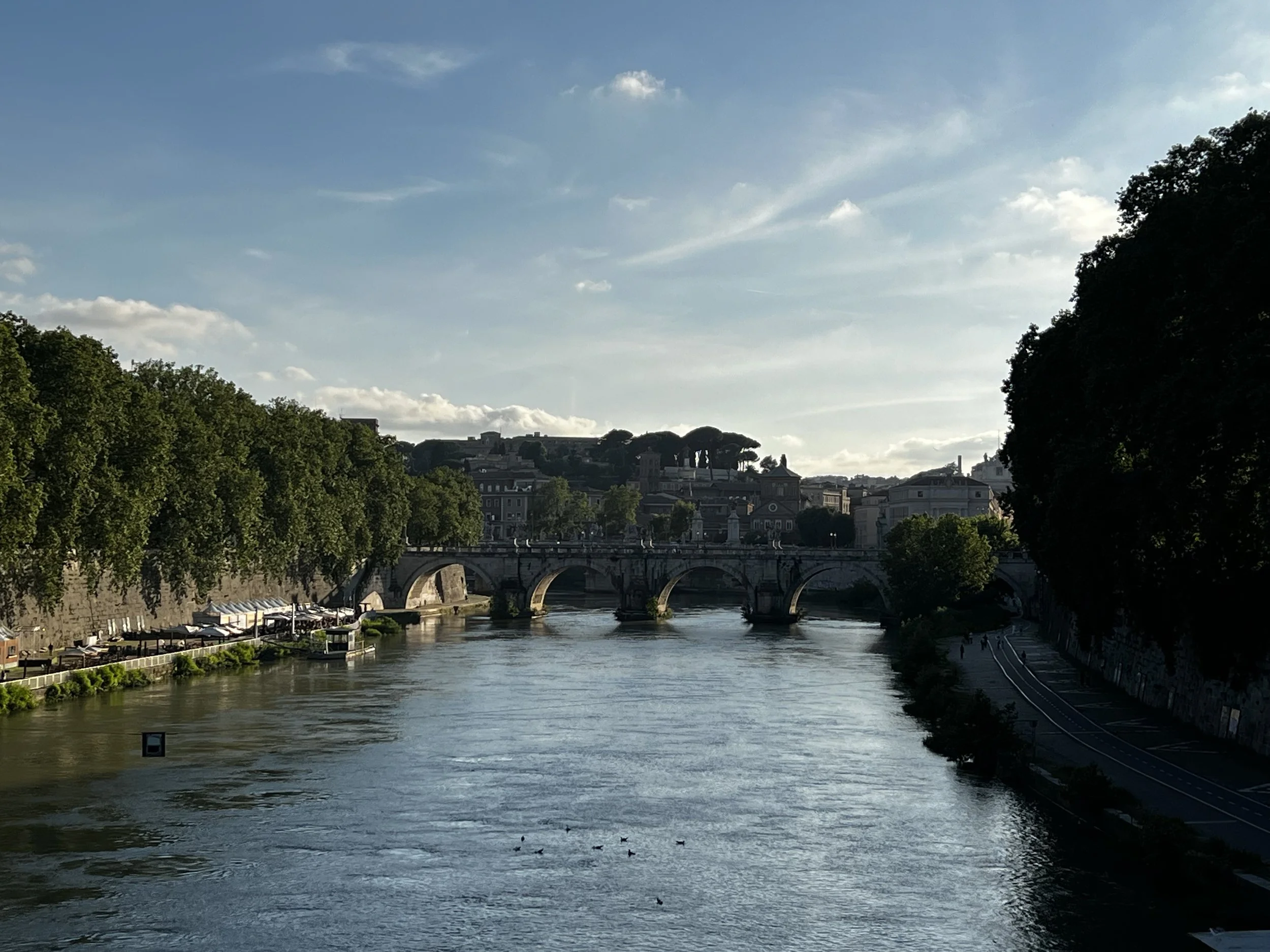 IMG_8476 - Copy.JPG