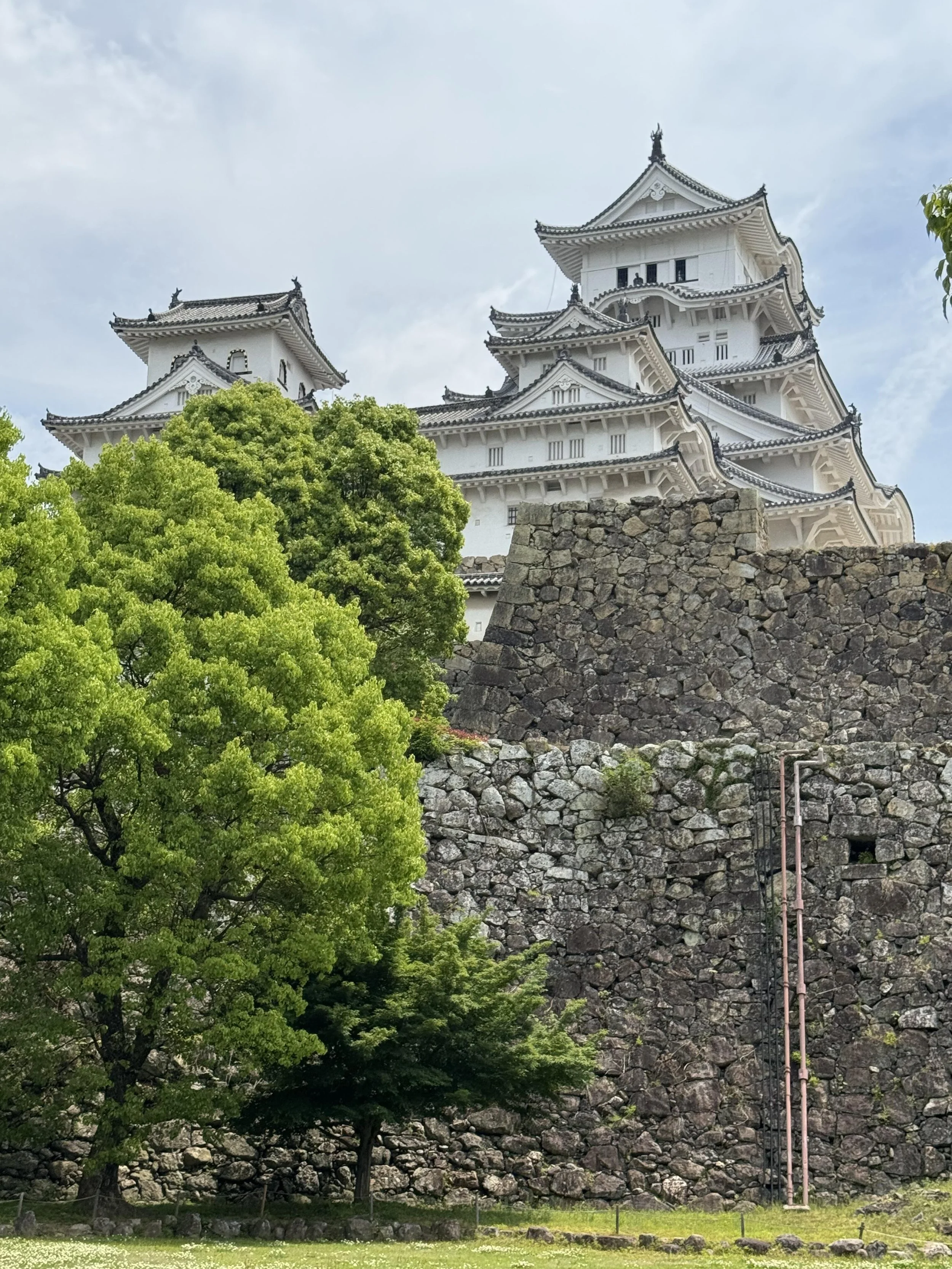 IMG_3624.jpeg