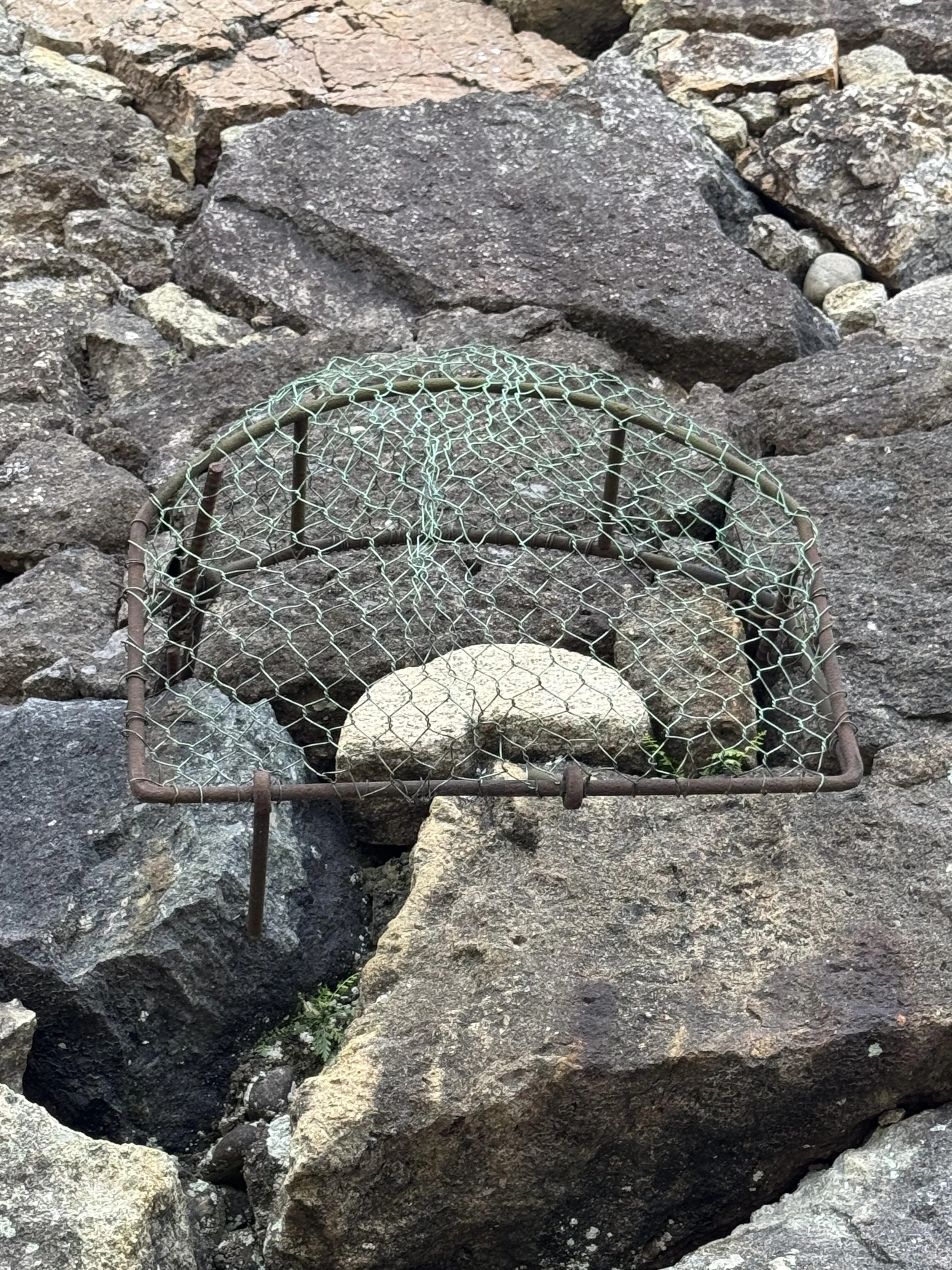 IMG_3633.jpeg