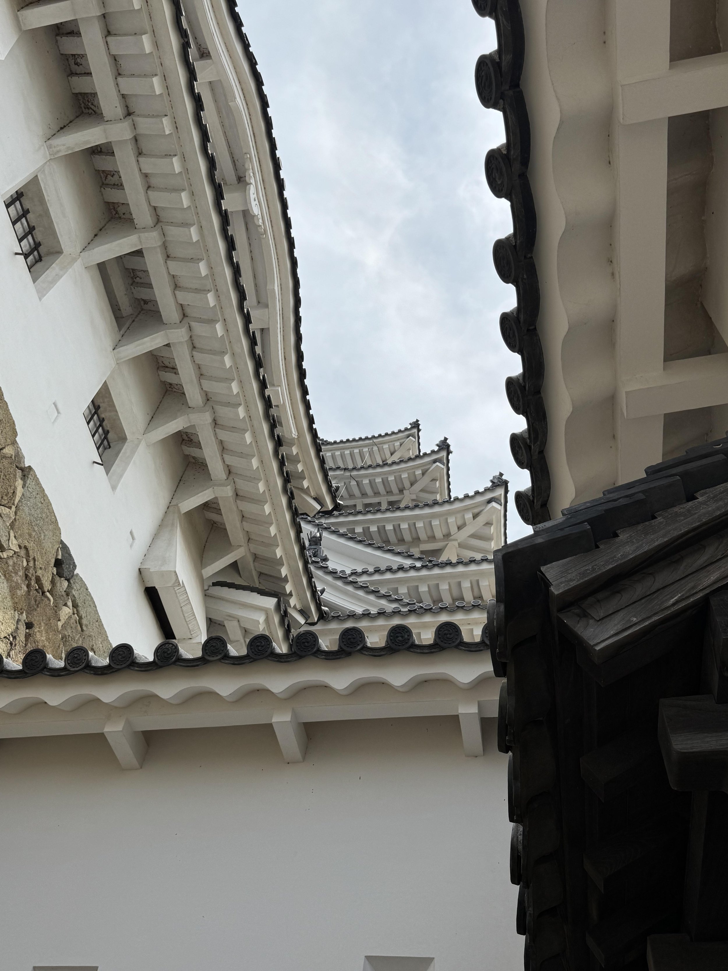 IMG_3637.jpeg