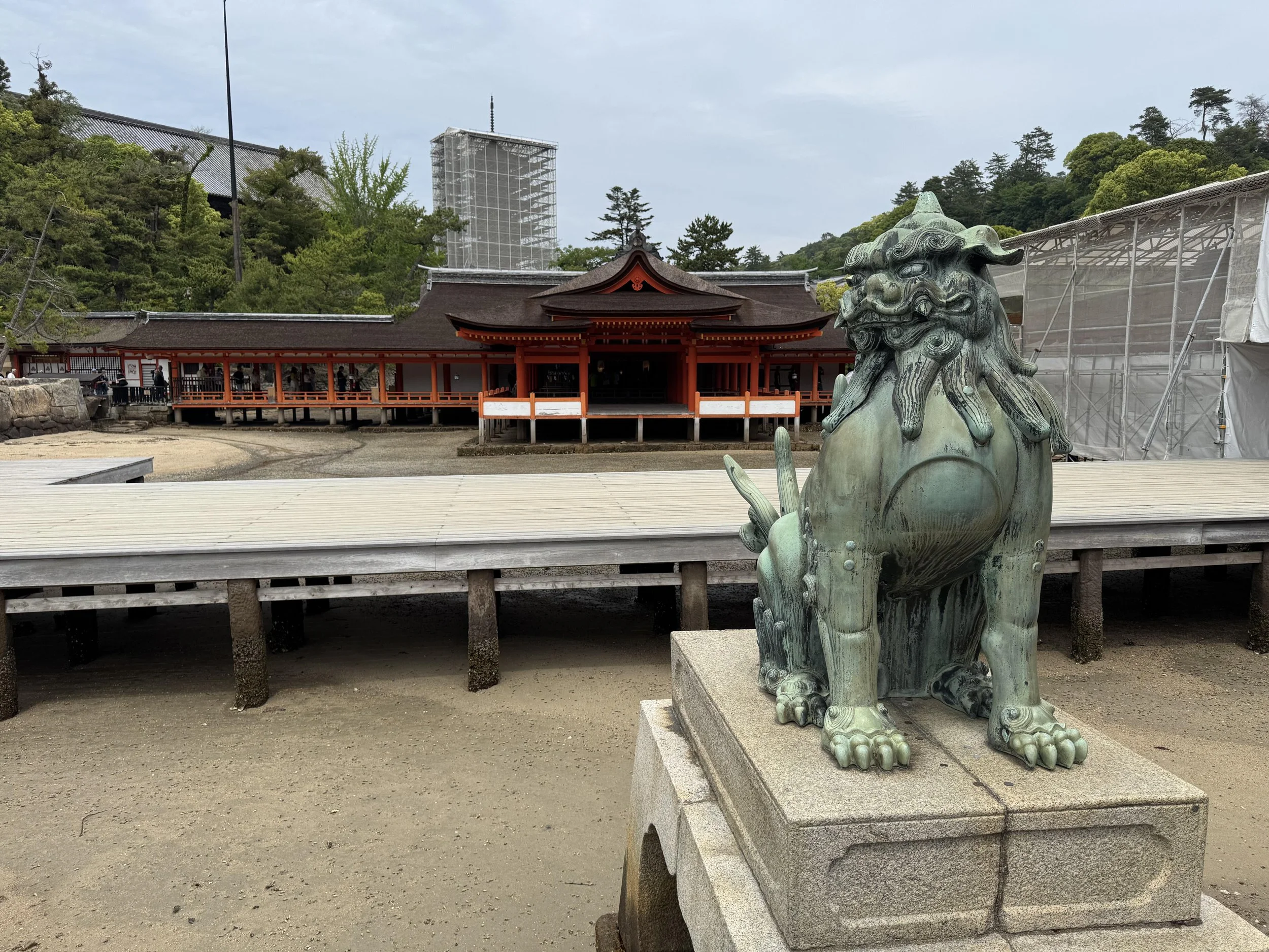 IMG_3755.jpeg