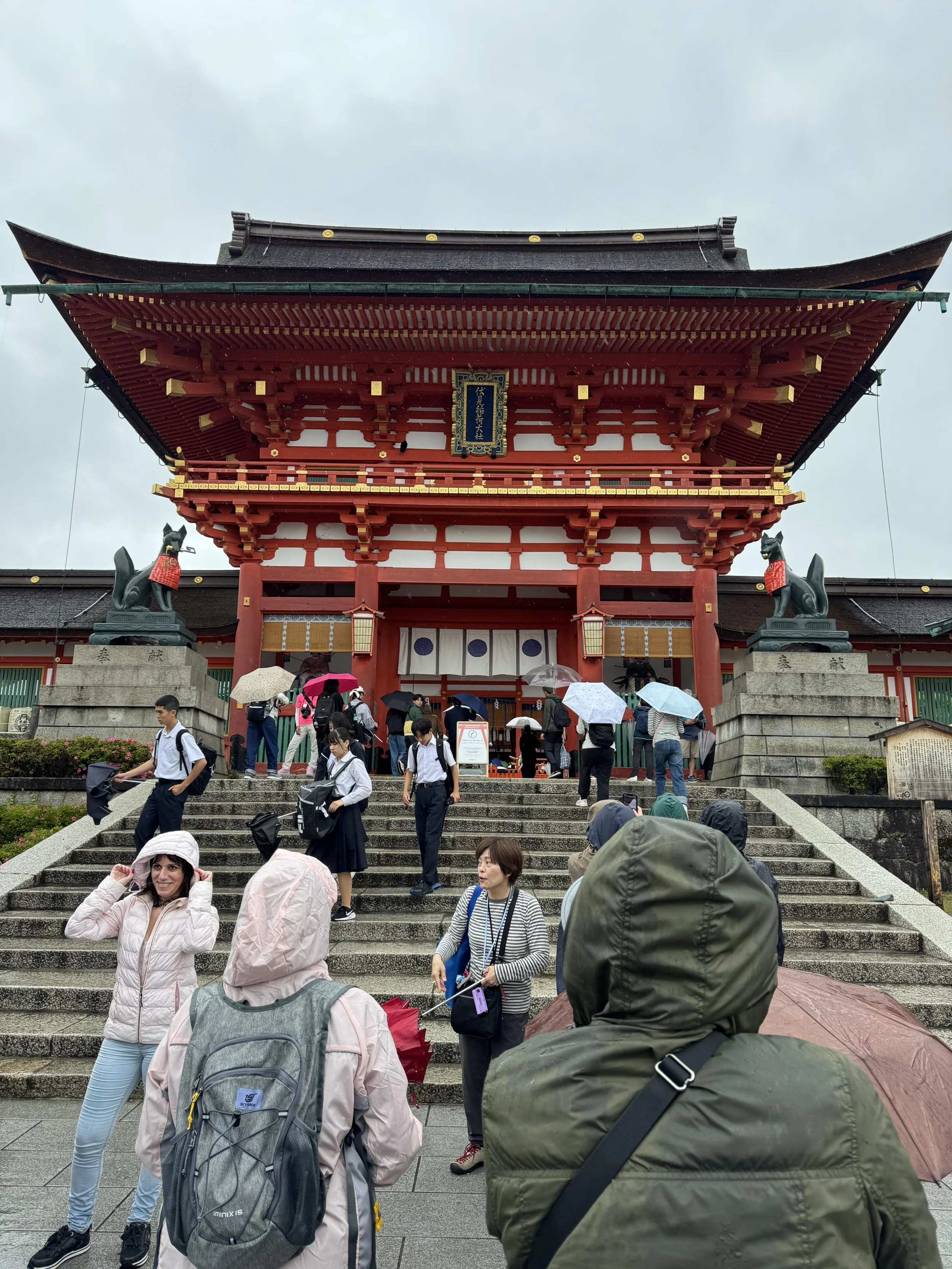 IMG_3779.jpeg