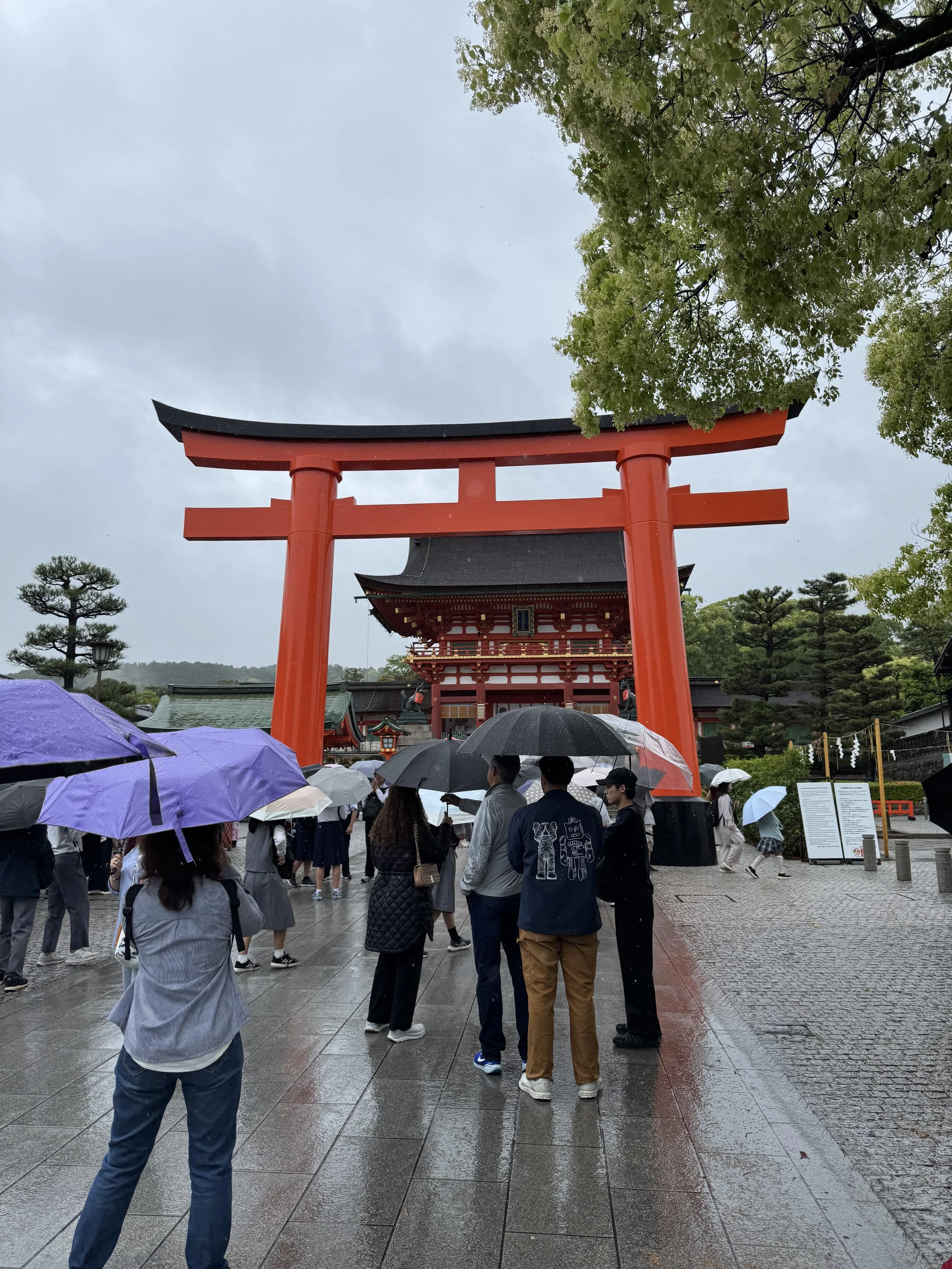 IMG_3777.jpeg