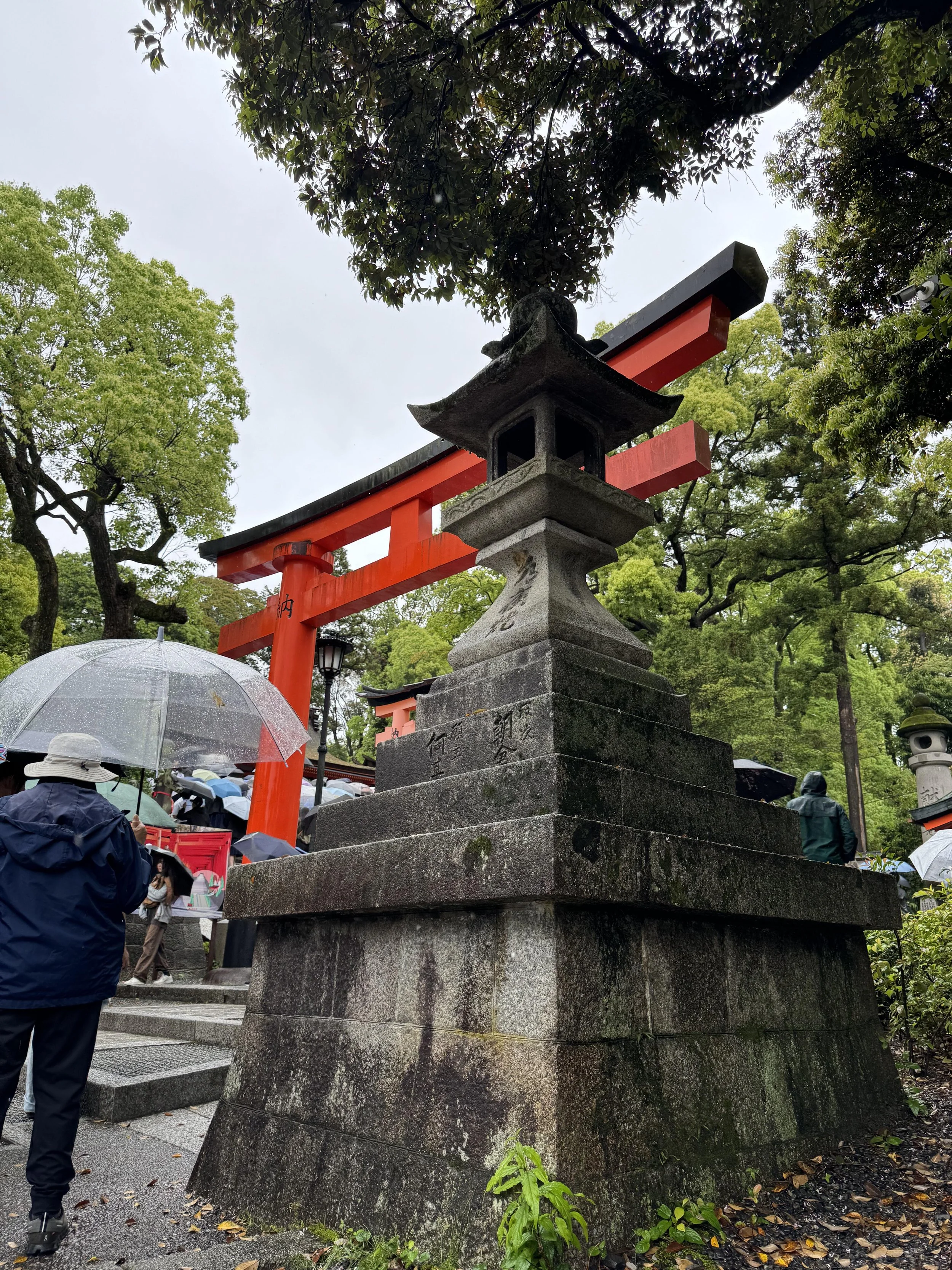IMG_3784.jpeg