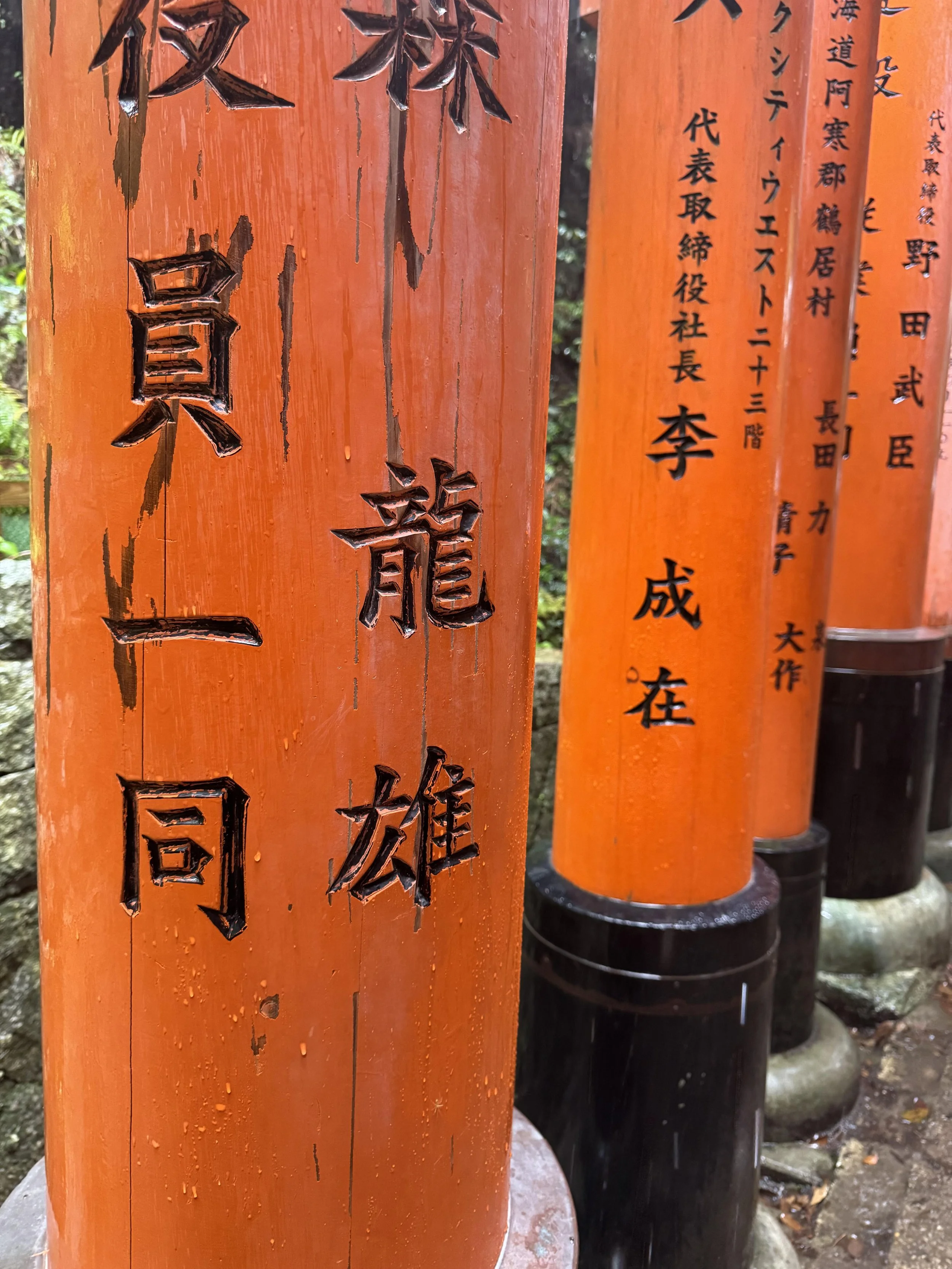 IMG_3802.jpeg