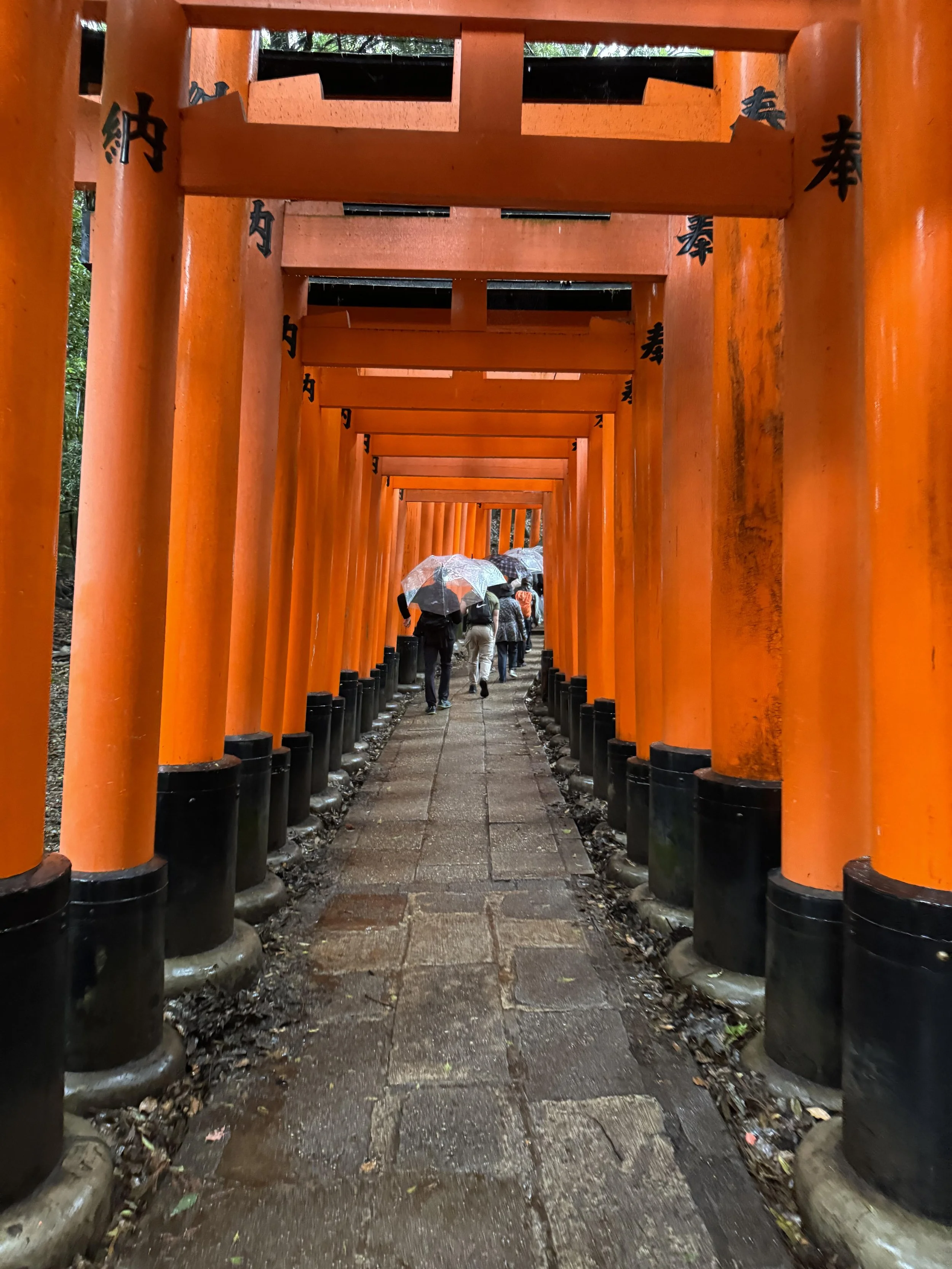 IMG_3809.jpeg