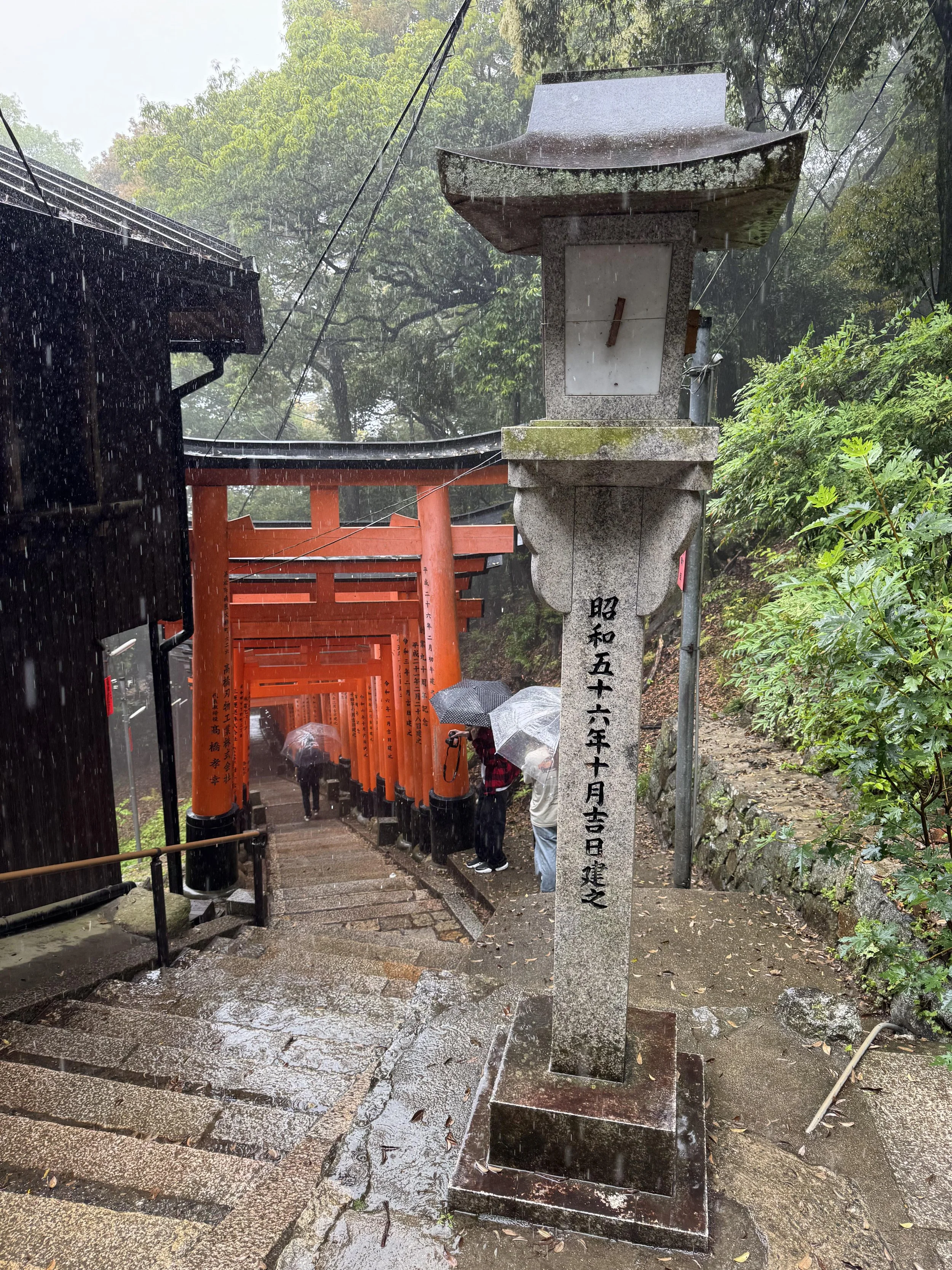 IMG_3814.jpeg