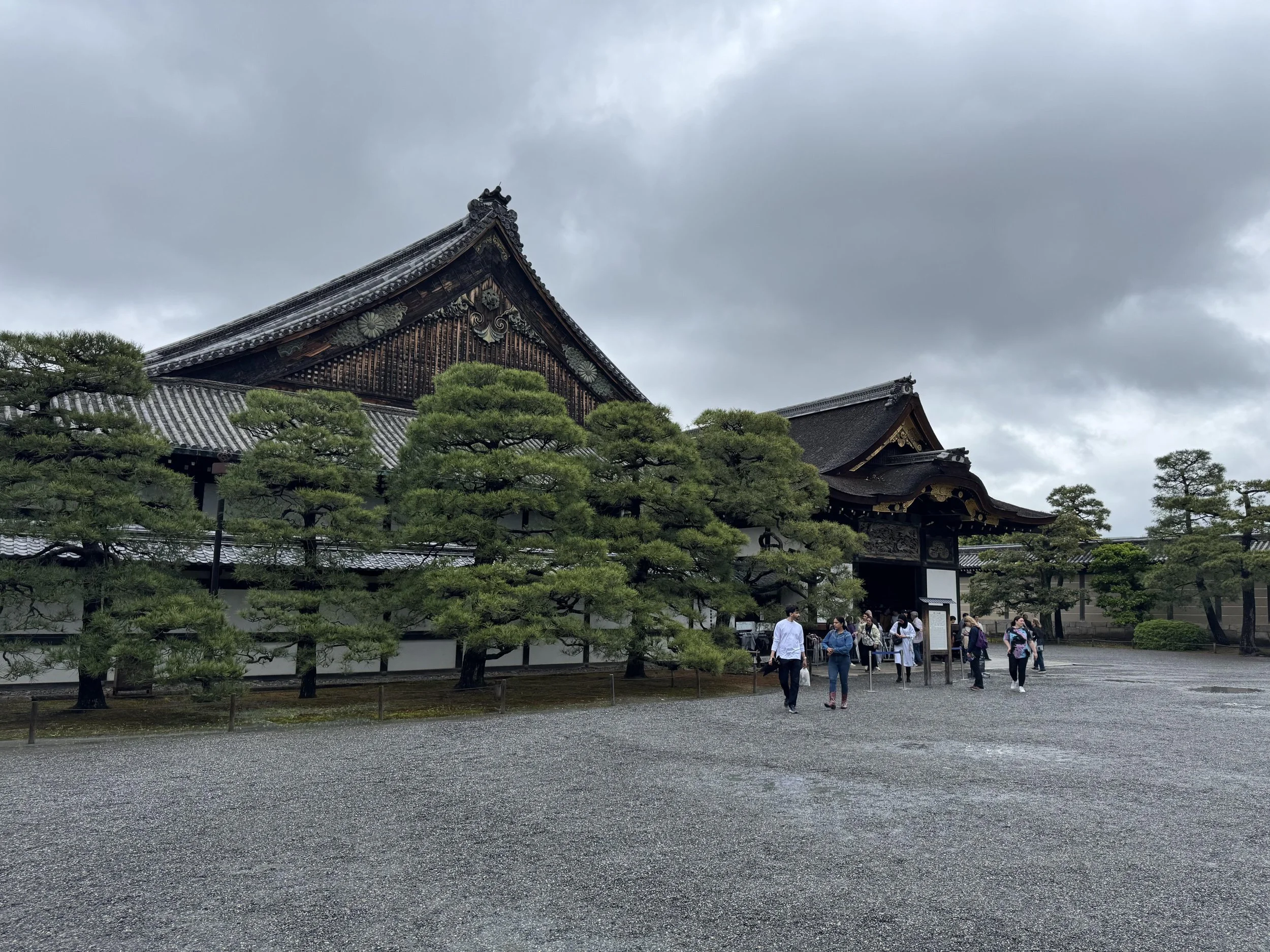 IMG_3837.jpeg