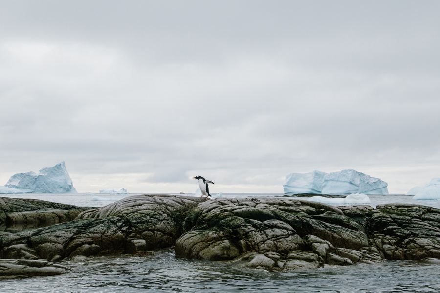 antarctica115.jpg