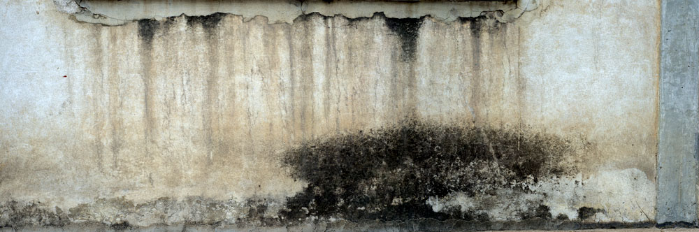 GARY GOLDBERG