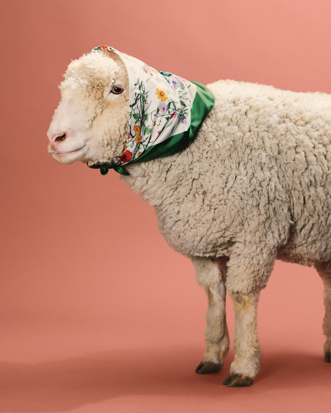 Screenshot 2026-02-12 at 2.50.45 PM.png