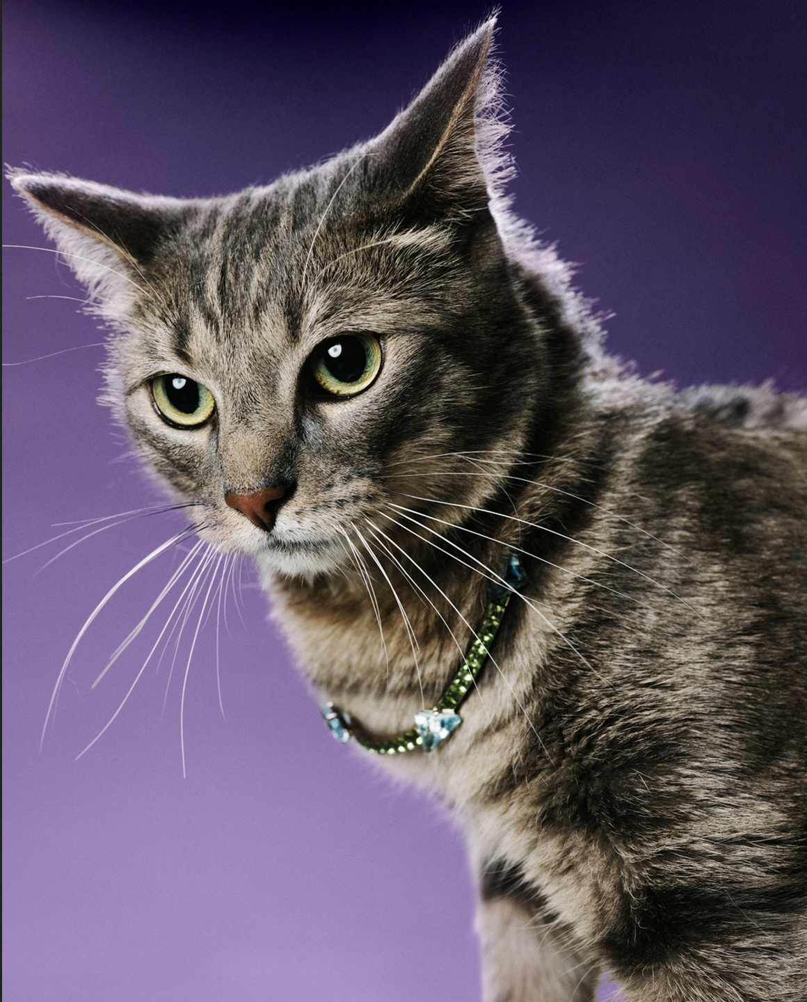 Screenshot 2026-02-12 at 2.50.27 PM.png