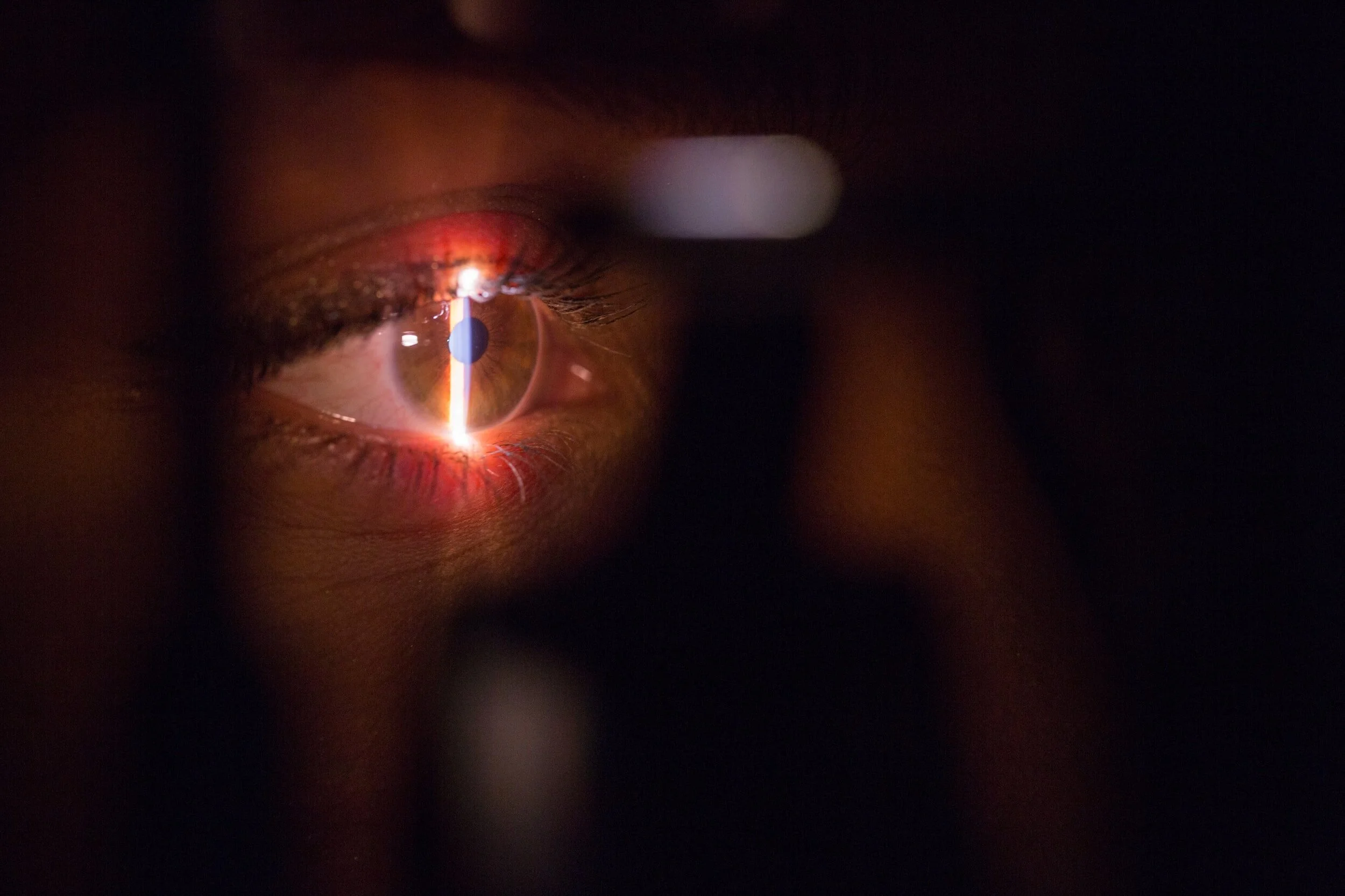 AMA - Ophthalmology's Future in Telehealth