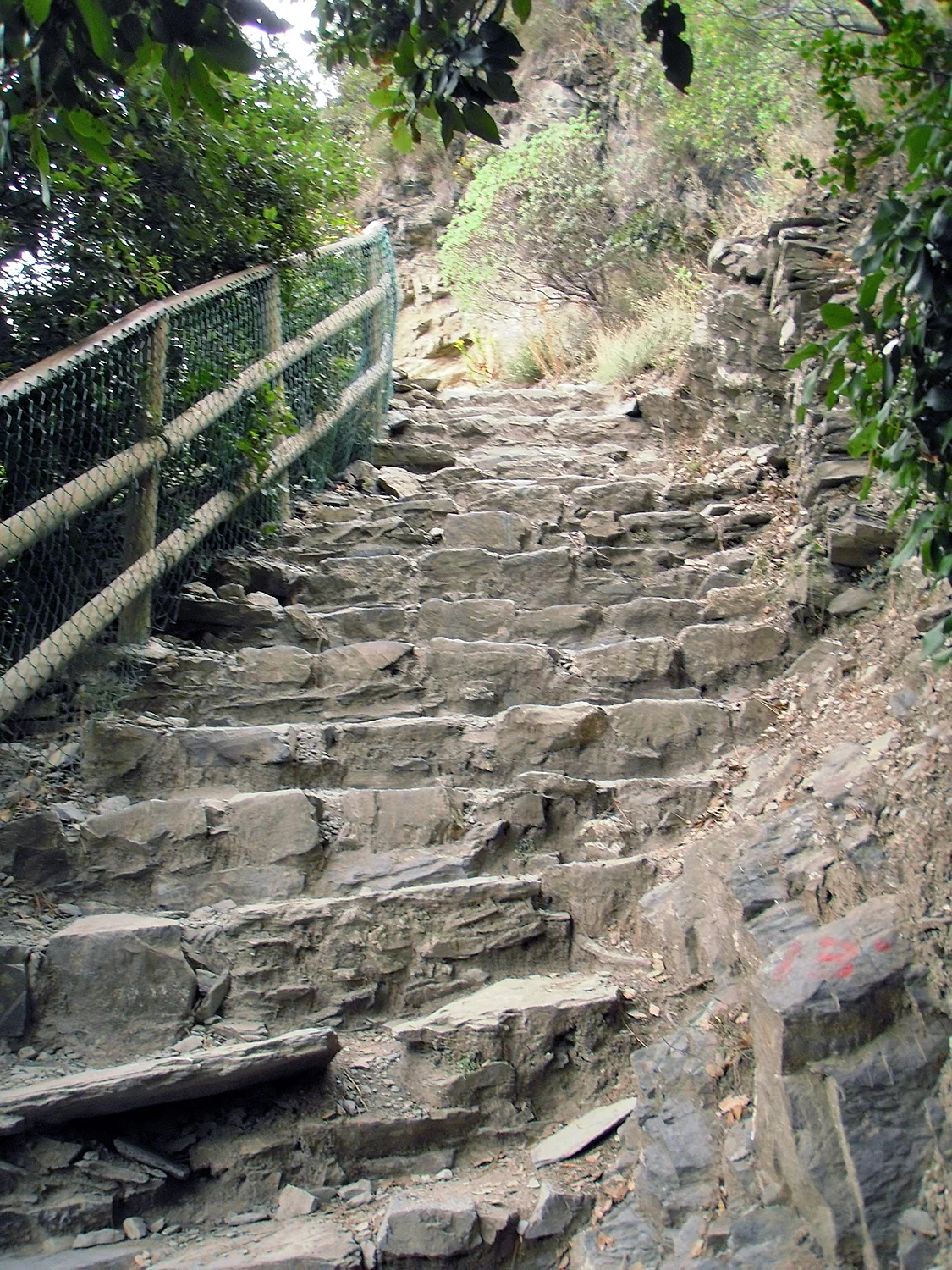 2018 ITALY_cinque terre_steep steps.jpg