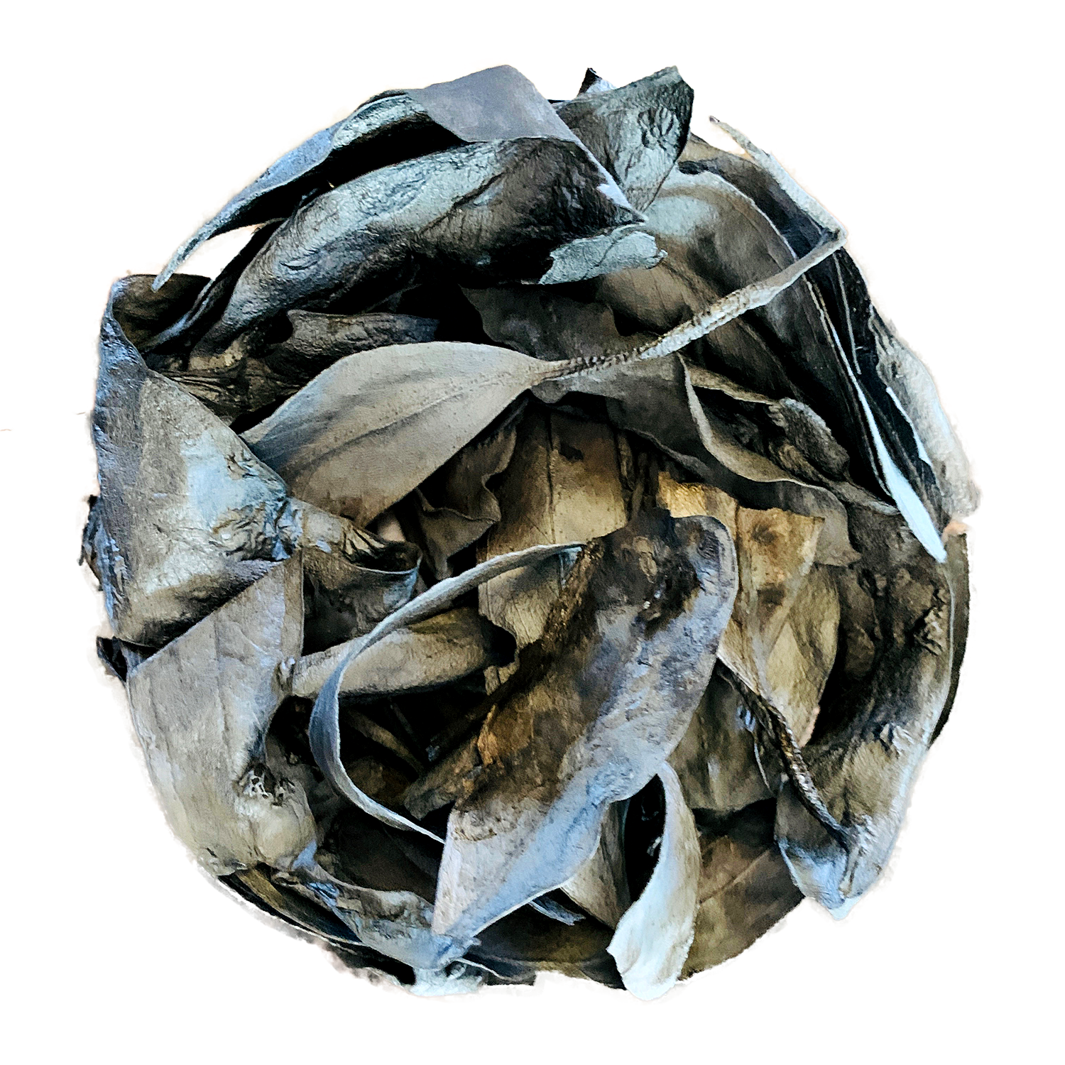 2019-eucalyptus-art-1.png