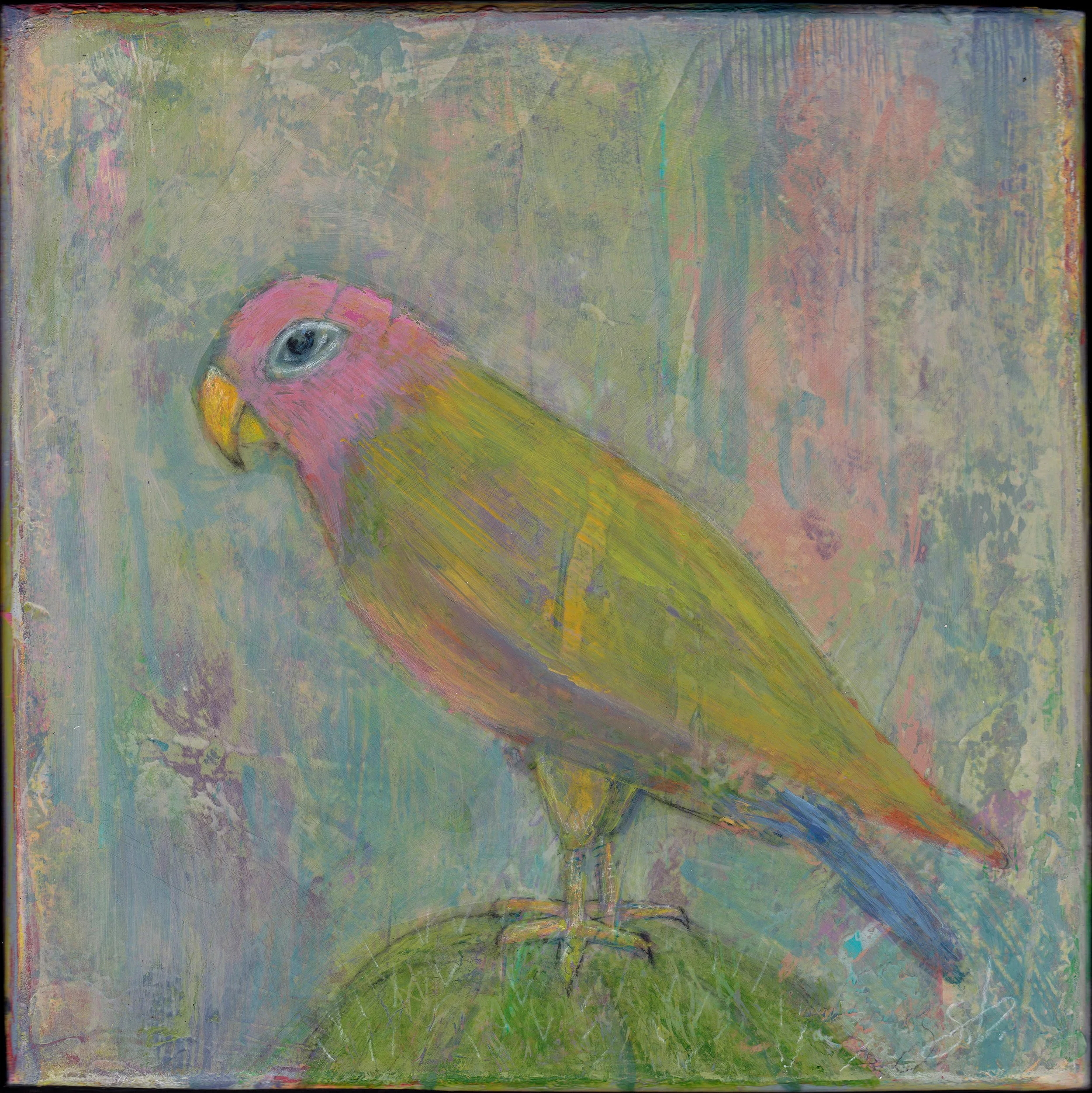 2022 PAINTING_desert animal_lovebird barrel_8x8.jpg
