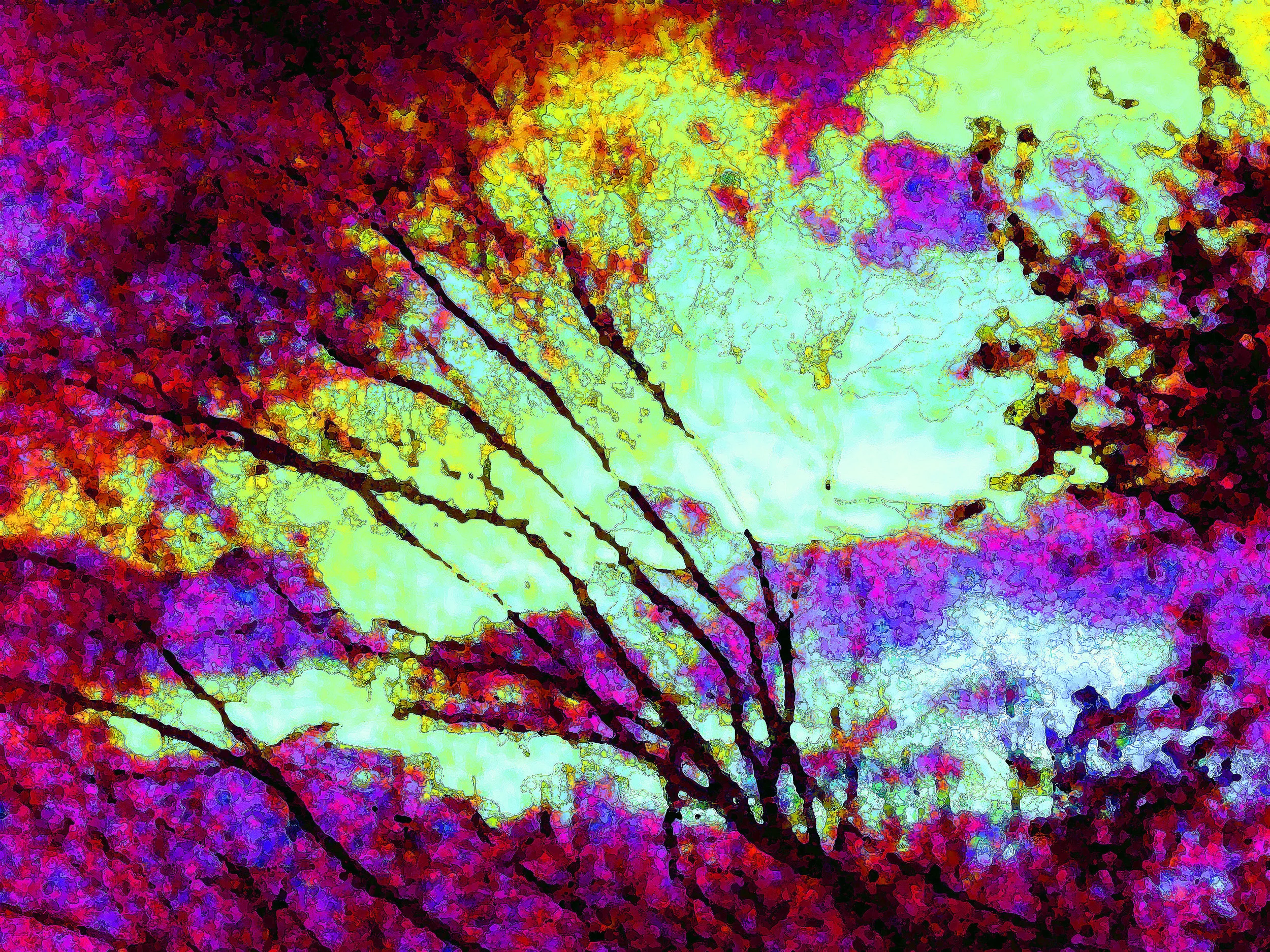 Twilight