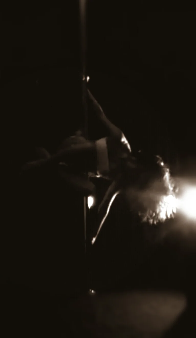 NYC's First Outdoors Aerial Pole Art Dancing Social - ELLAVATIONS SUMMER 2014