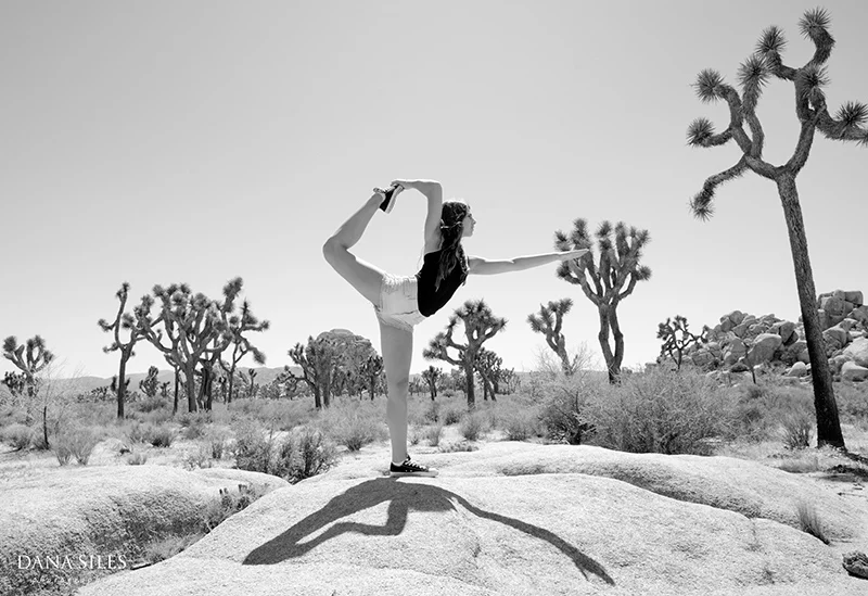 Road trip with Sabrina to Joshua Tree National Park