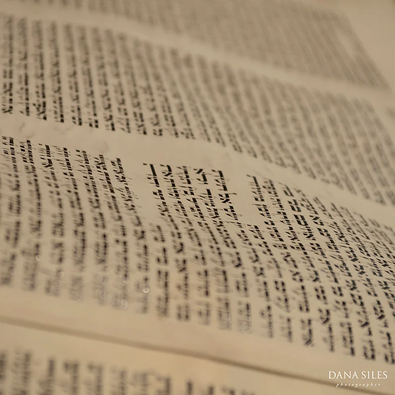 Events-Andrew-Bar-Mitzvah-Providence-Dorrance-Dana-Siles-10.jpg