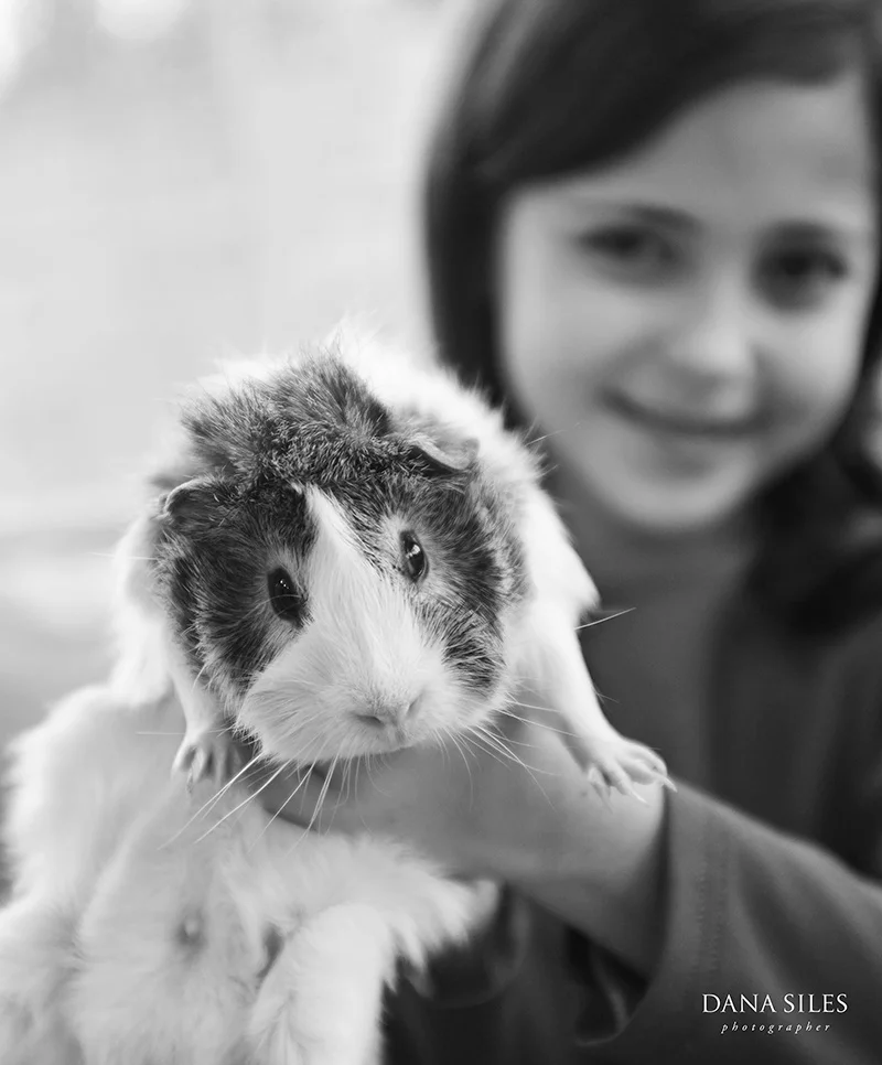 portraits-tice-family-dana-slies-24