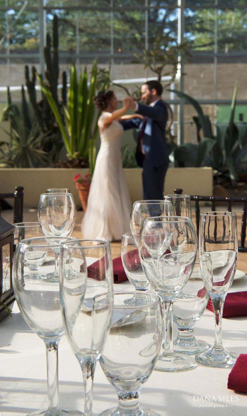 roger-williams-park-botanic-center-wedding-providence-rhode-island-dana-siles-photographer-13