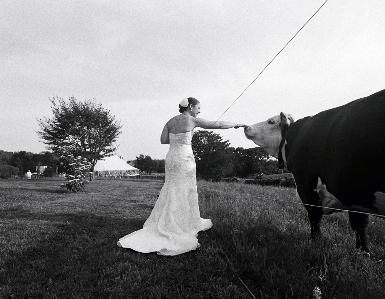 43_Dana-Siles-Wedding-Photography.jpg