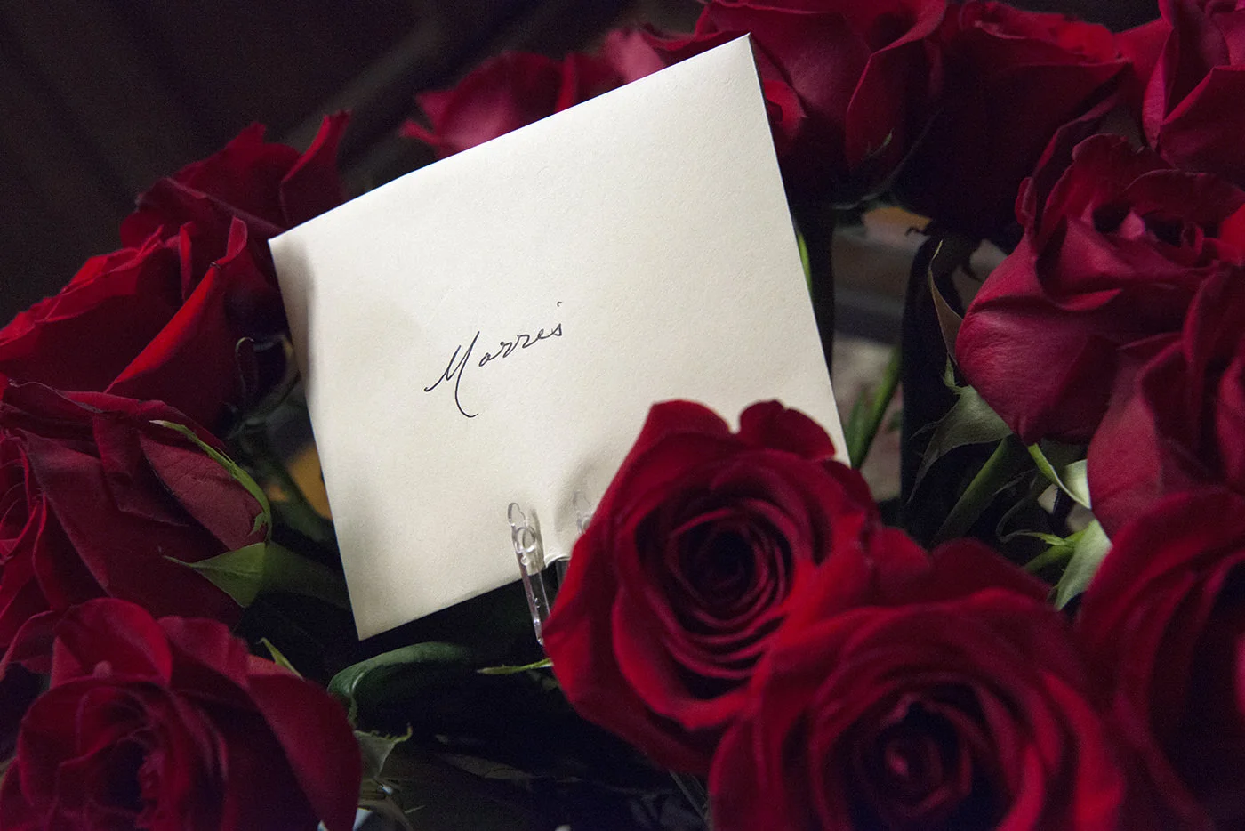 170907_Morris024_Copr.DanaSiles copy.jpg