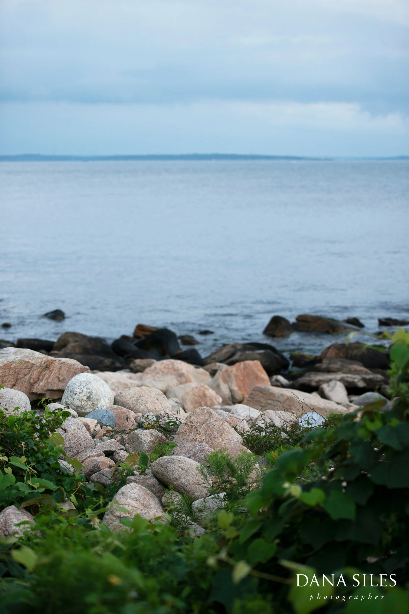 180818-Nellie-Christopher-0338 copy.jpg