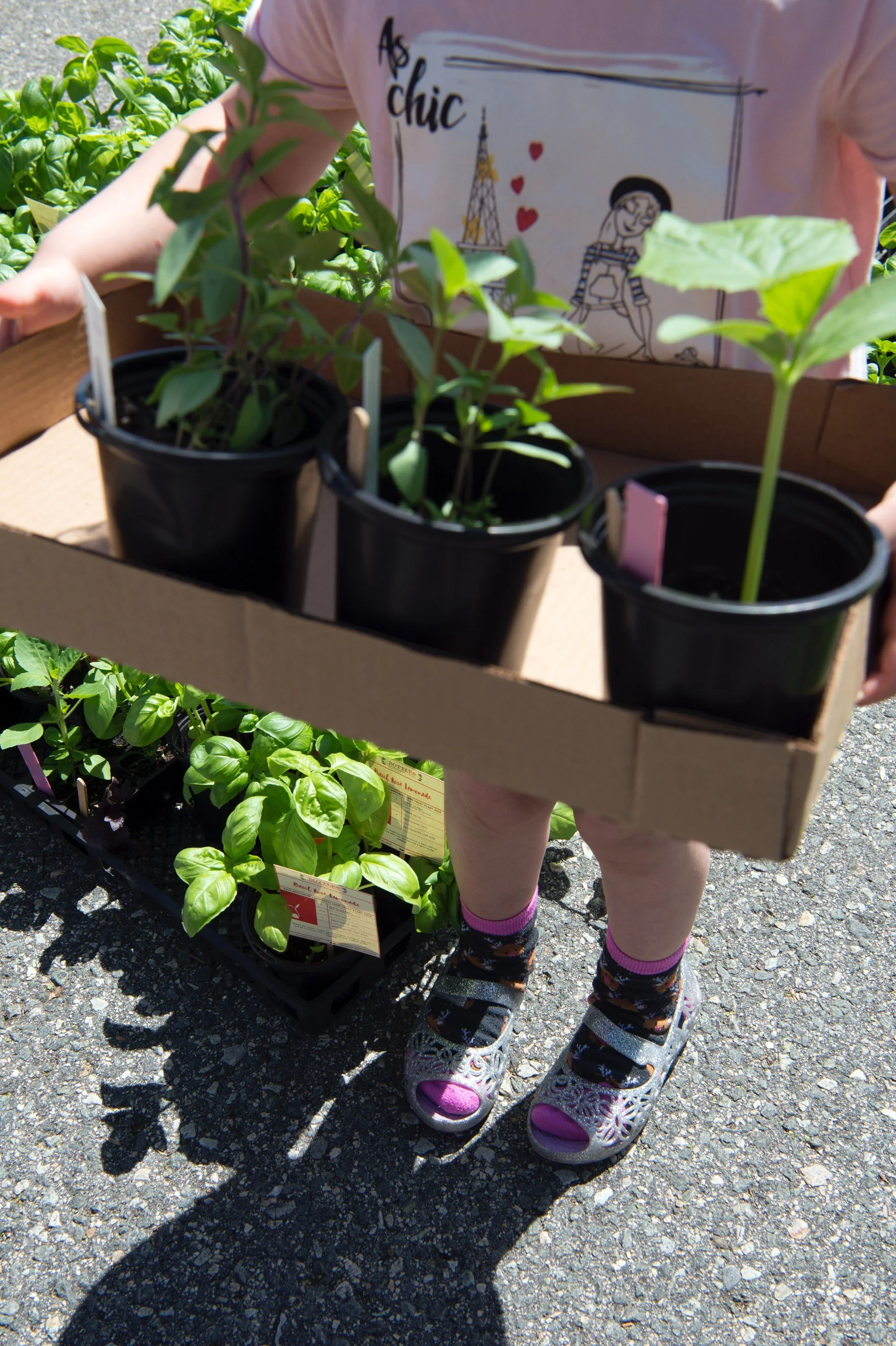 Young child carrying newly purchased plants from the Southside Community Land Trust Annual Plant Sale.