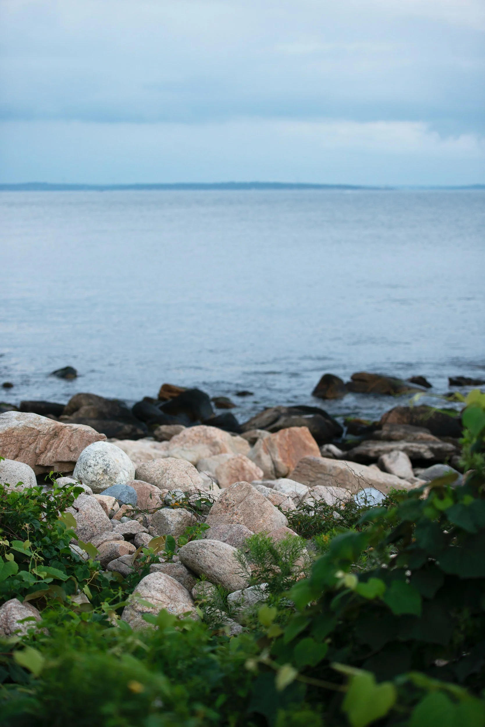 180818-Nellie-Christopher-0338 copy.jpg
