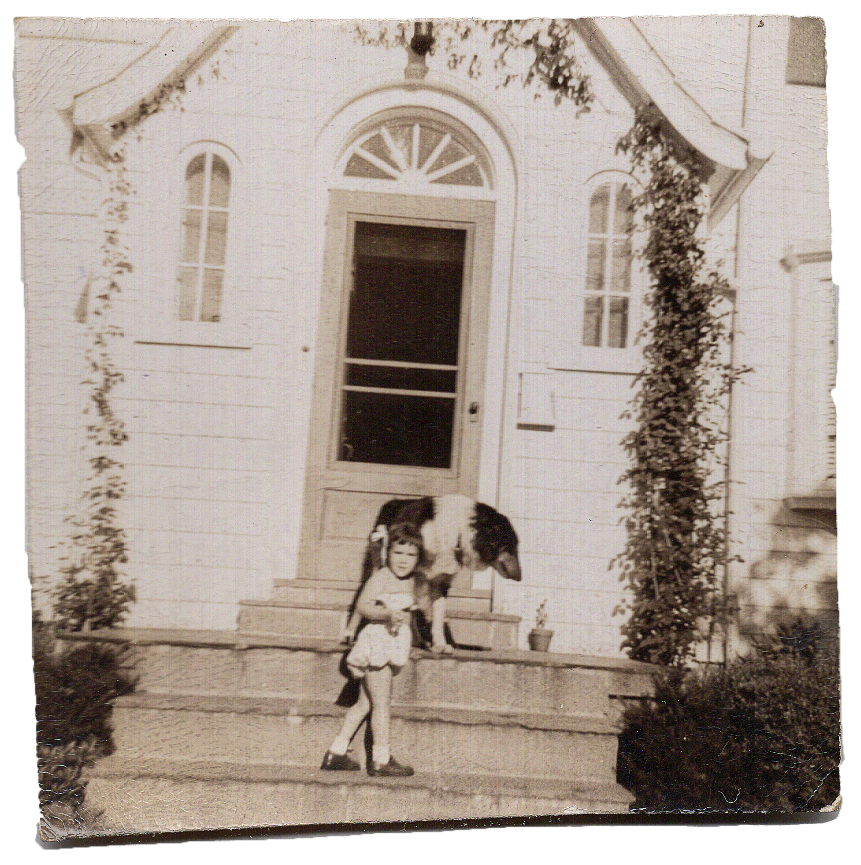 A photograph from 1949 of a little girl and her dog on her house steps in Larchmont, New York