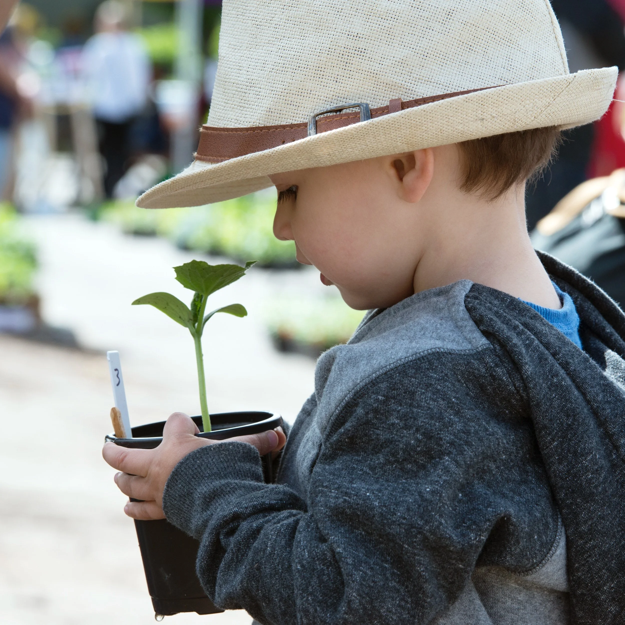 Young boy with plant during Southside Community Land Trust's Annual Plant Sale.