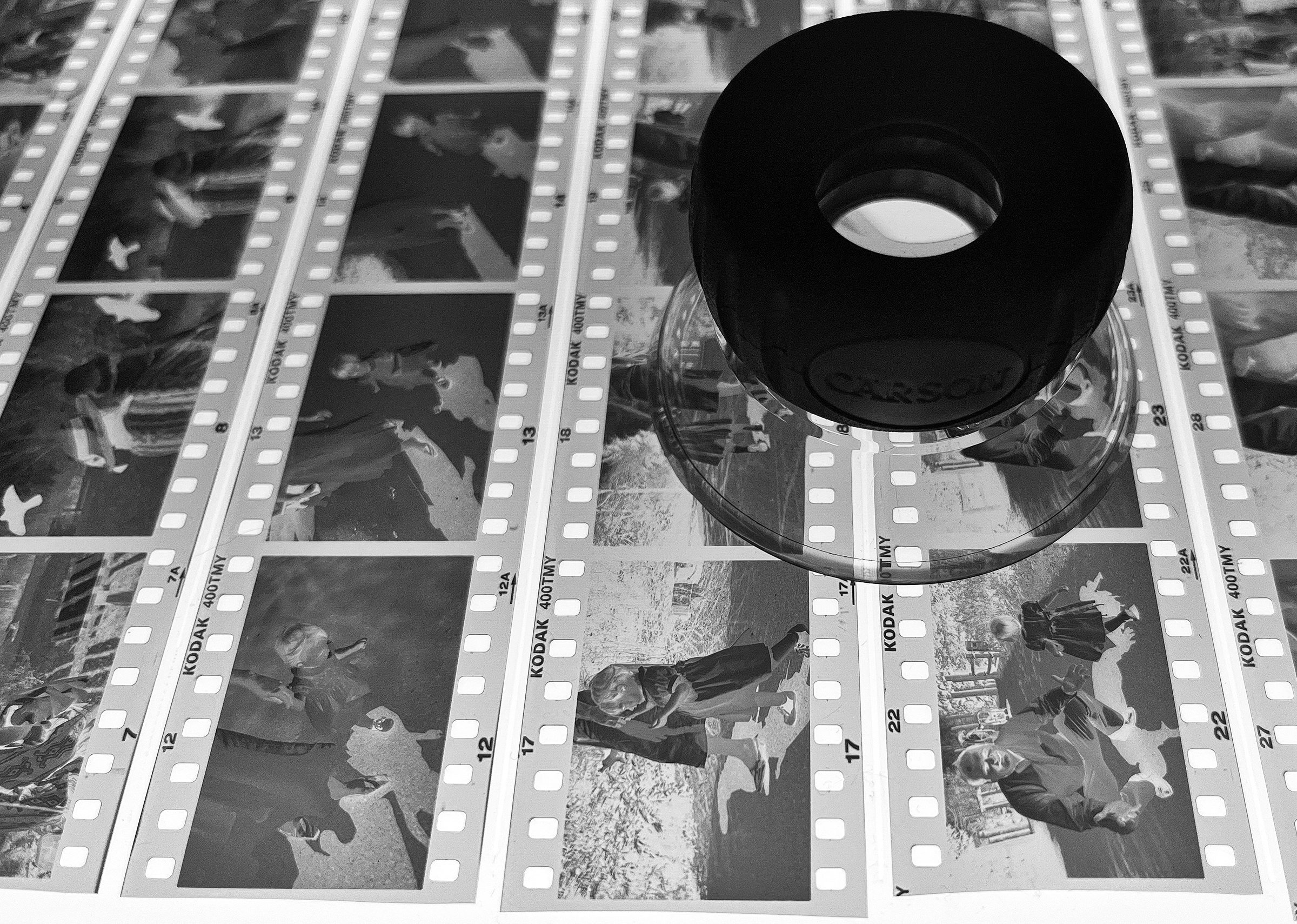 Negatives on light box