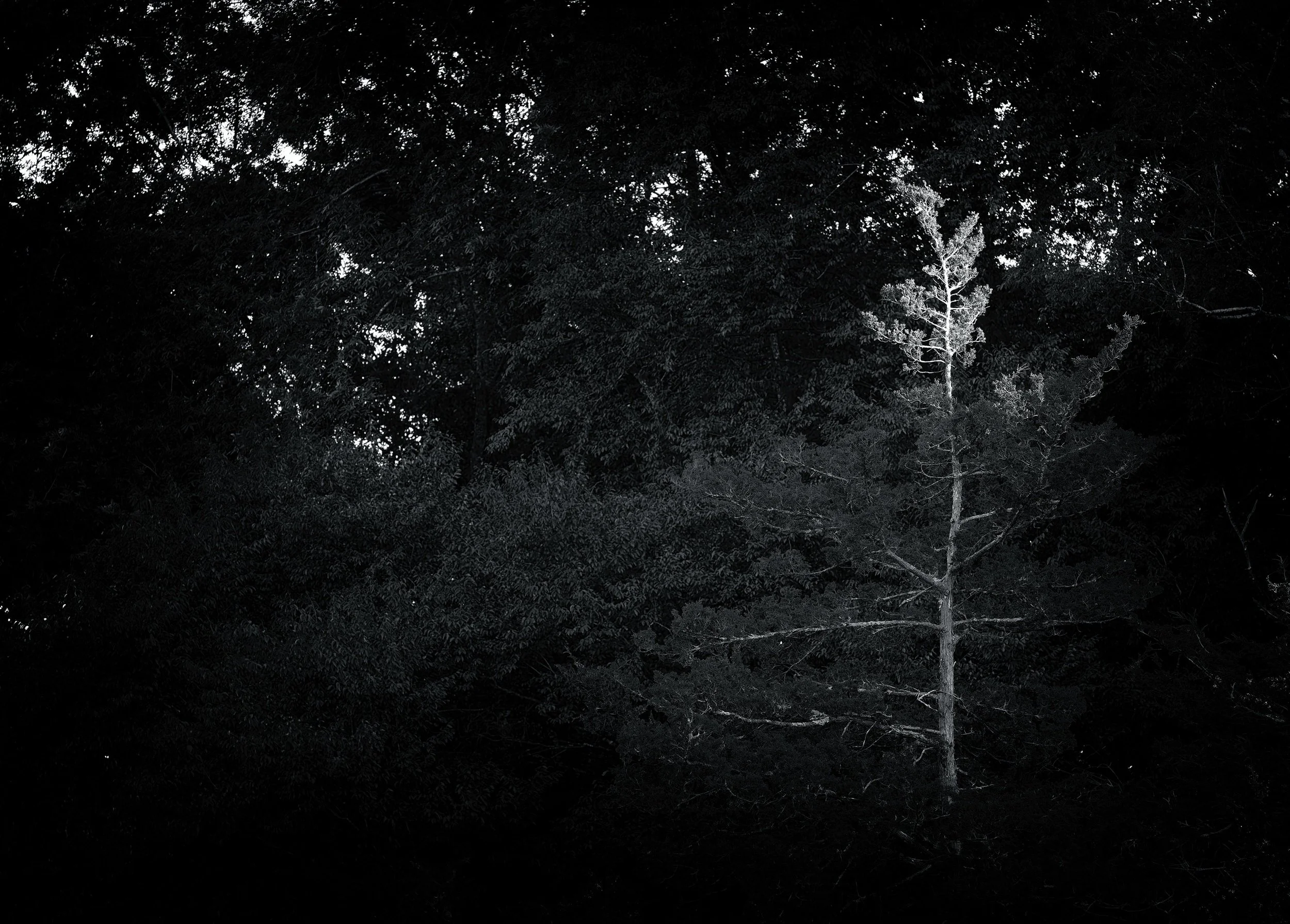240608_1017.jpg