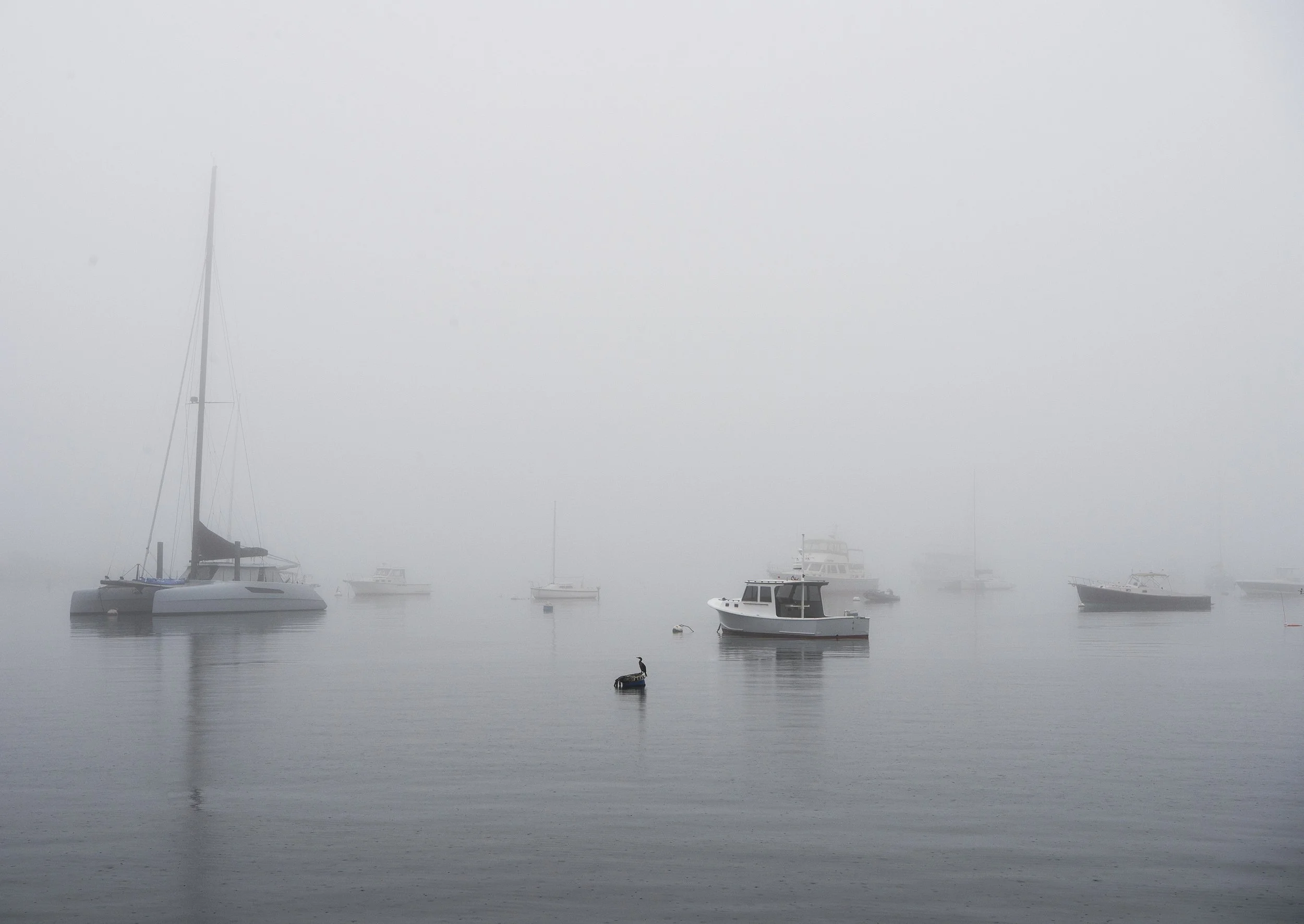 Foggy morning over Newport Harbor before a Regatta Place wedding