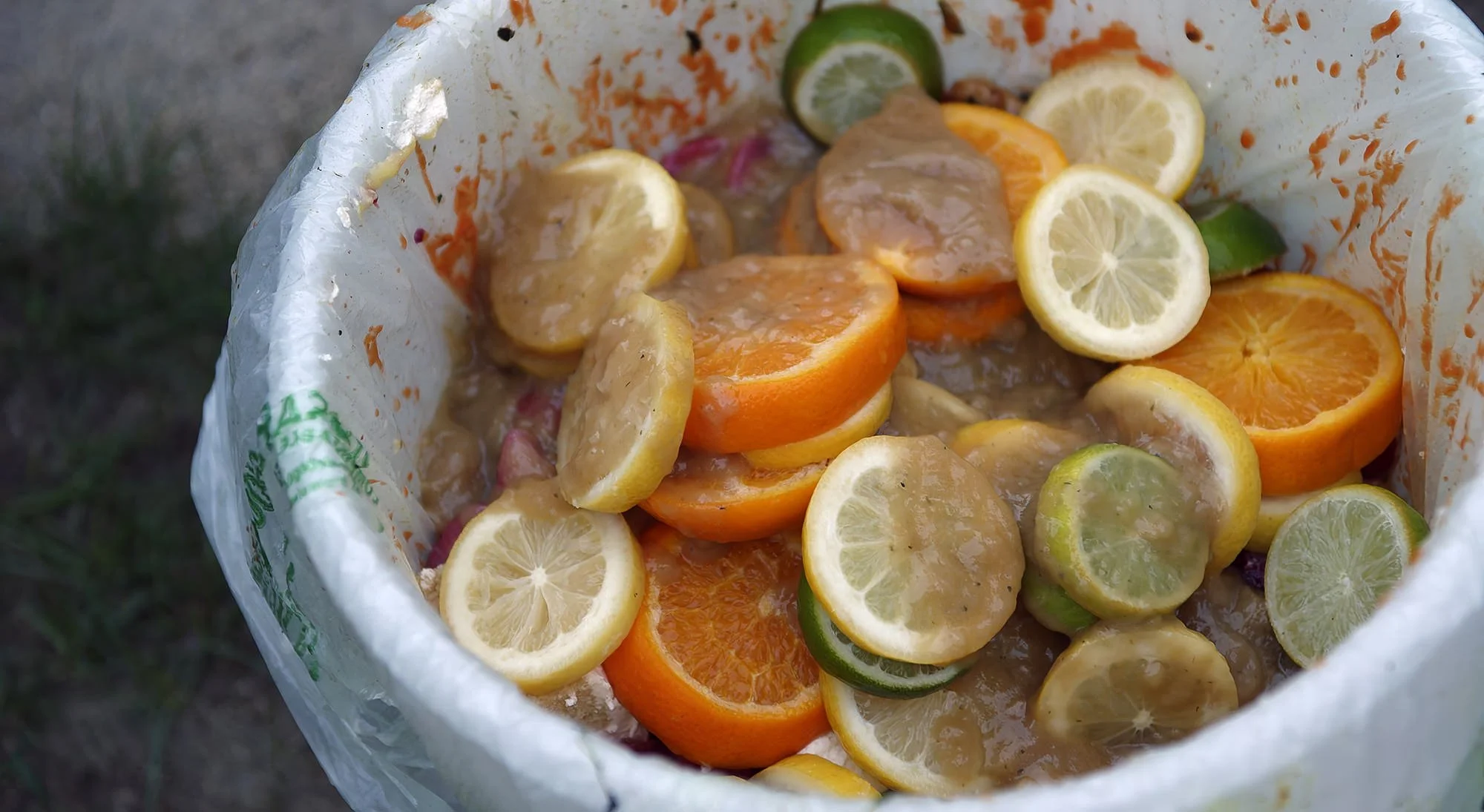 Food scraps from Tess & Baba’s ZERO WASTE WEDDING were composted with Epic Renewal.
