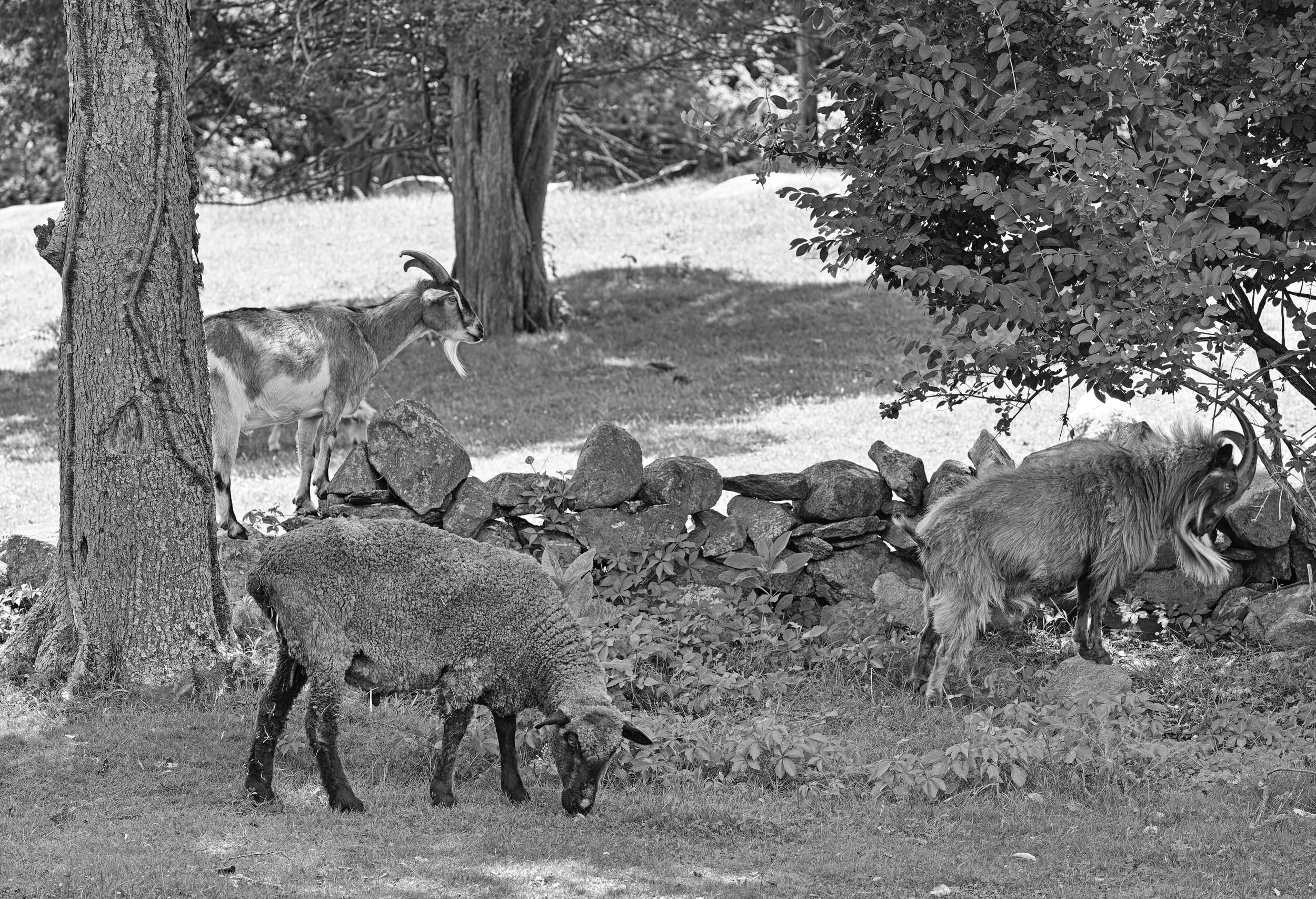240608_0043.jpg