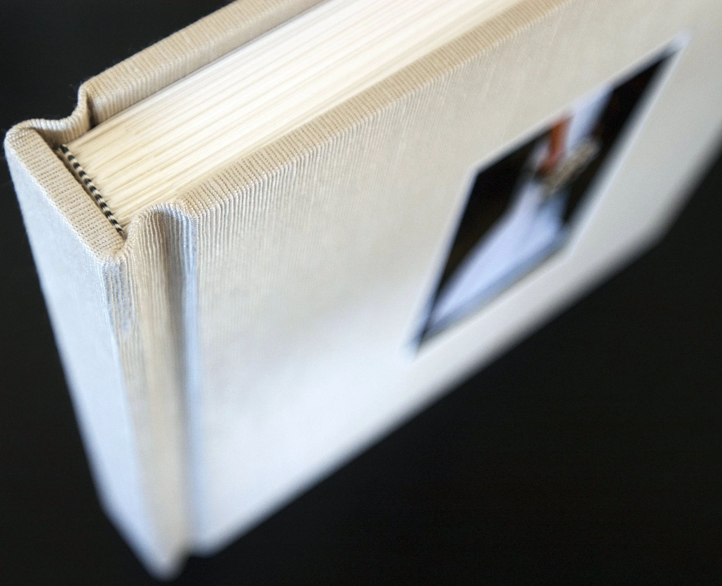 Custom album with rag pages and Asahi silk book cloth.