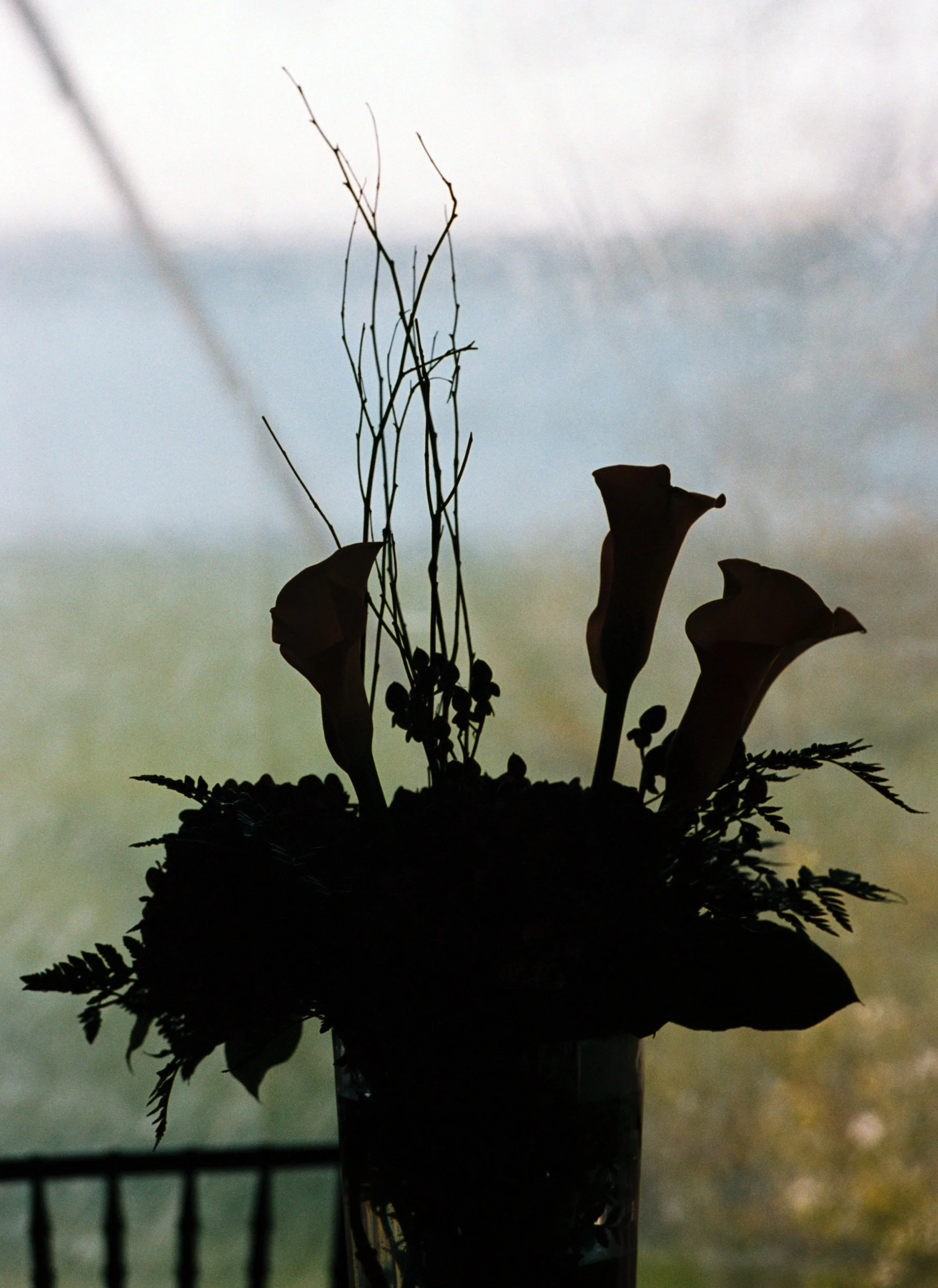 JenRon_DanaSiles_A014bwtmk.jpg