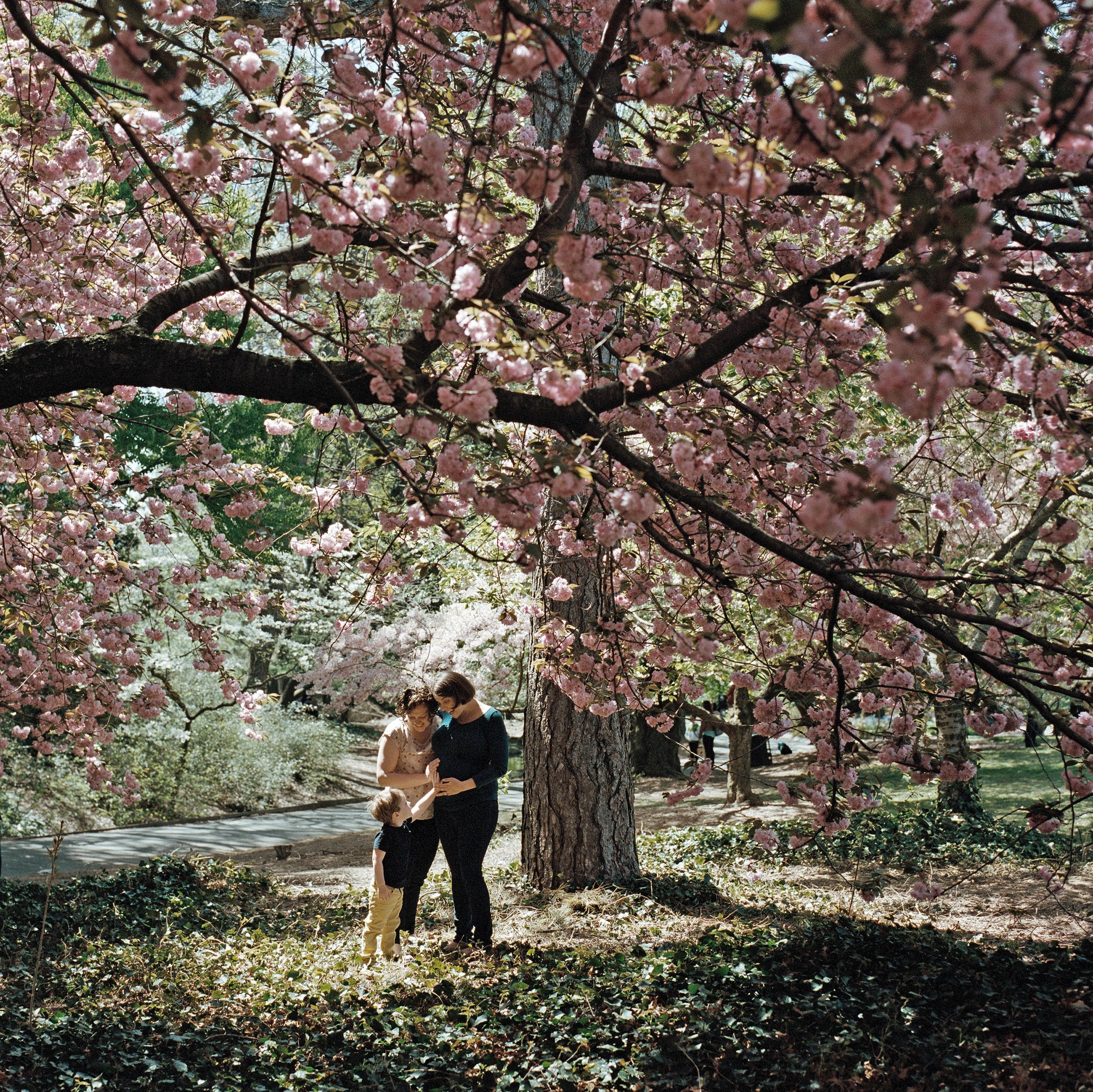 Justine and pregnant Elisabeth with their young son surrounded by spring colors in Brooklyn, New York.