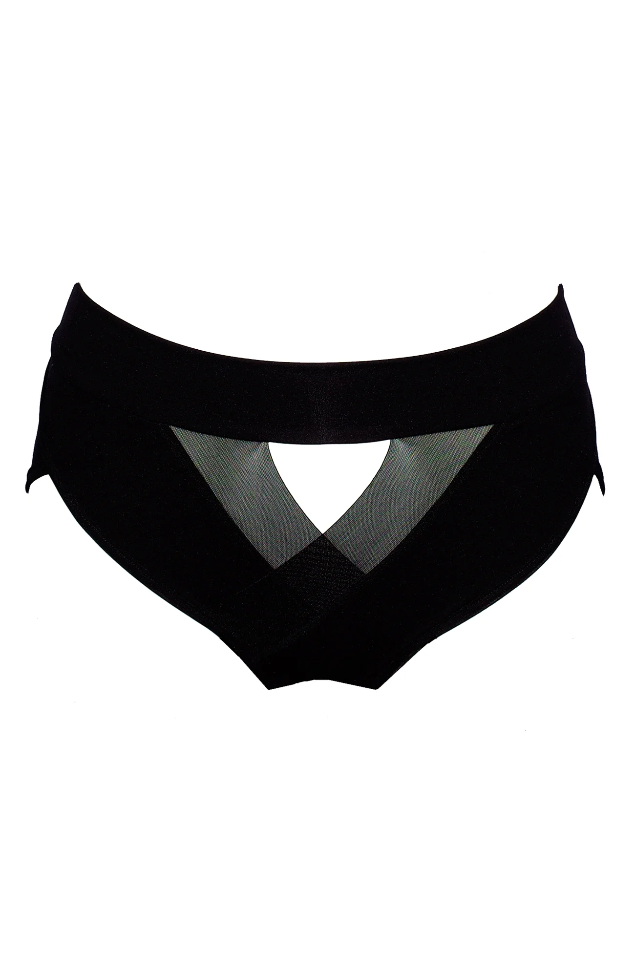 mantisbrieffrontsmall.jpg
