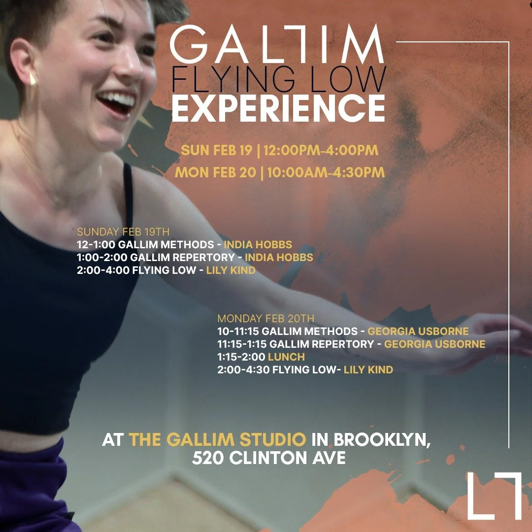 Flying Low | GALLIM Experience 