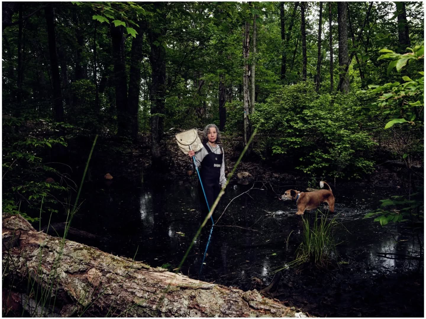 Nice to dig up and remember this portrait assignment of Kyla Bennett deep in the swamp for @businessweek a few years ago. Kyla is interviewed in small town news source @barn_raising about her work defending protections for govt employees. She is havi