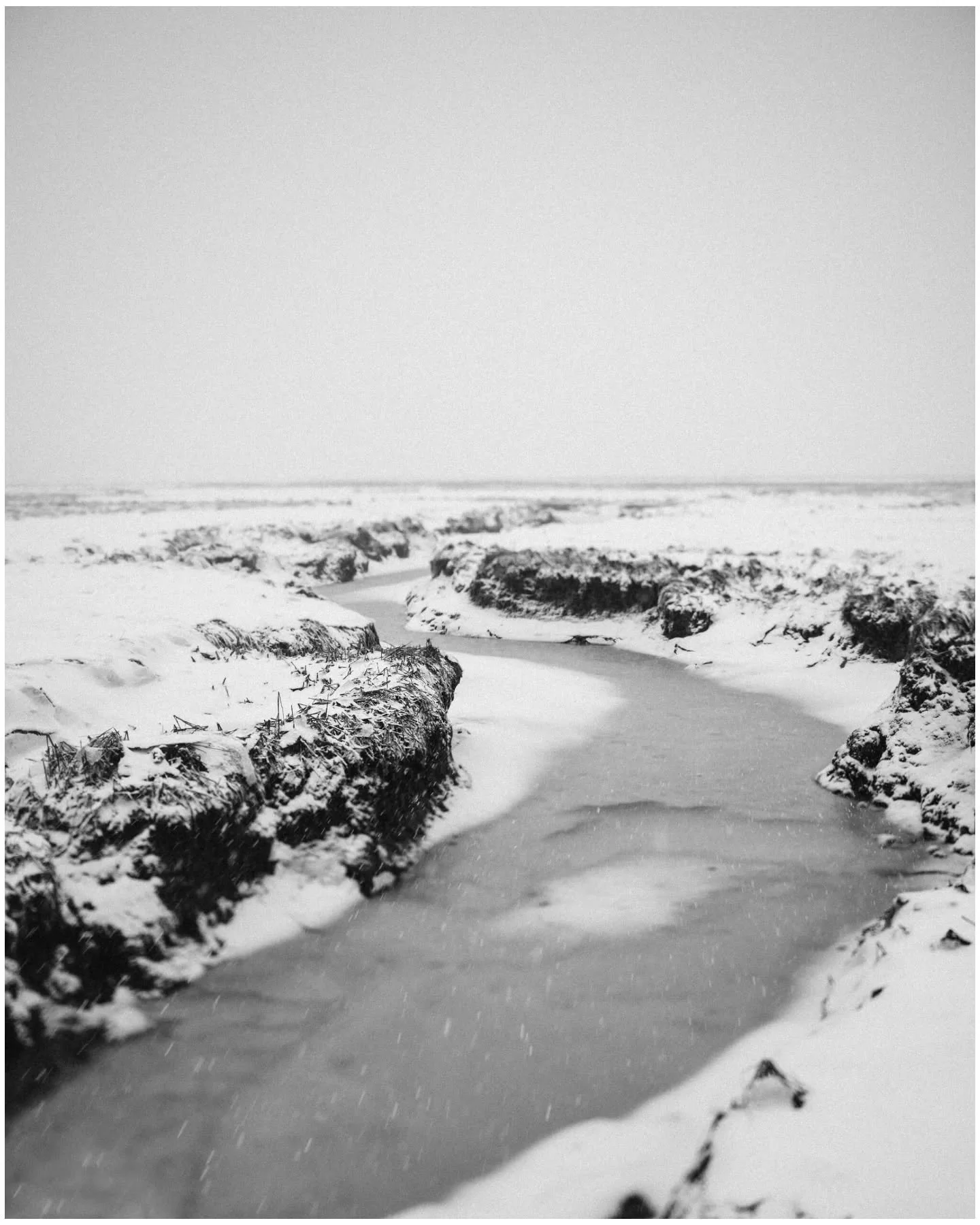 Winter in the Great Marsh