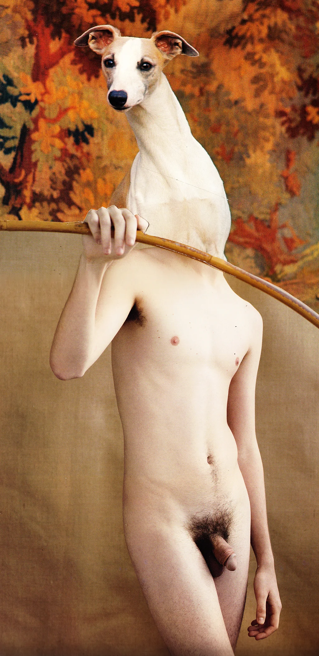 Fetching, 2013Collage